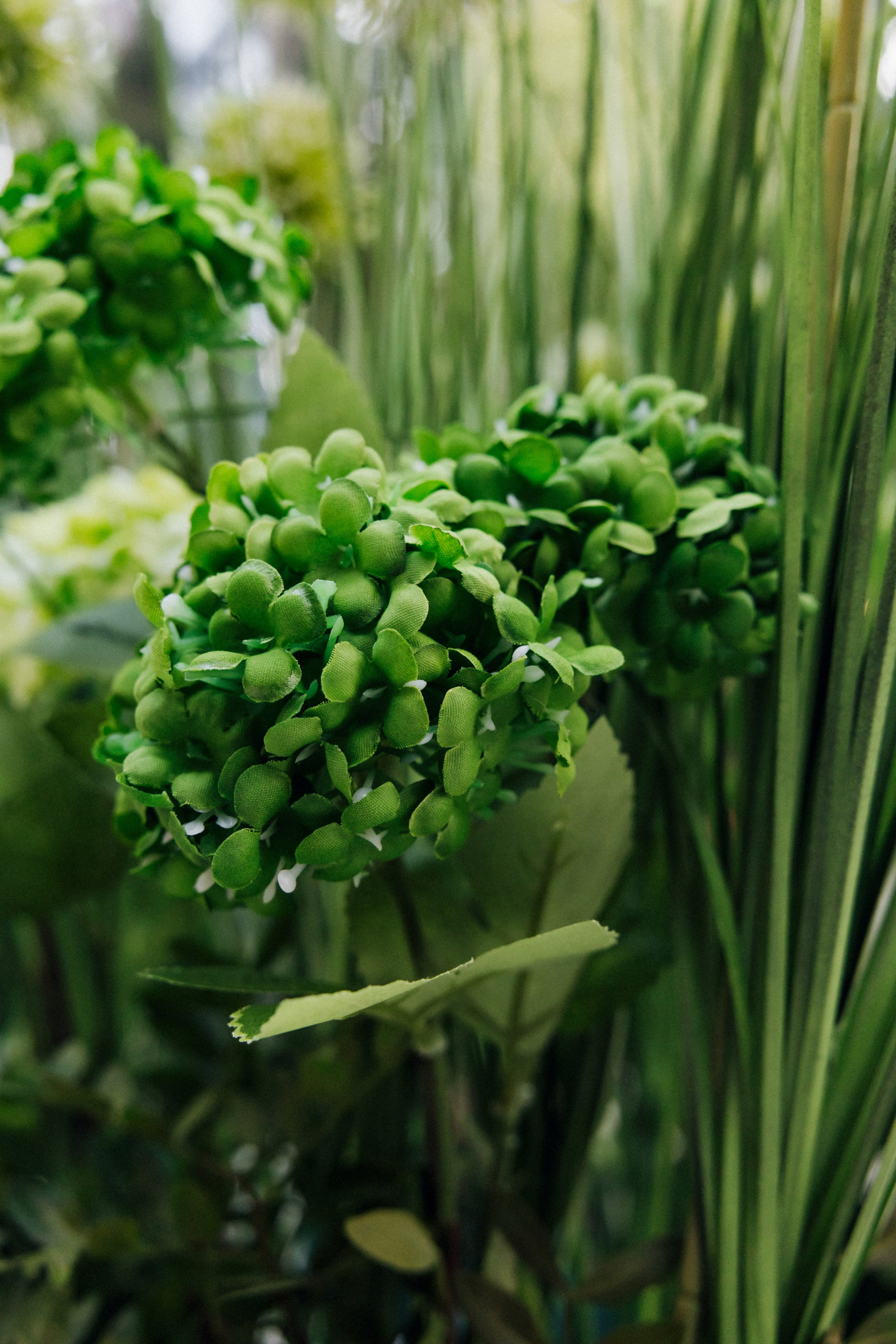 Денис и Елизавета. Фотограф в Красноярске