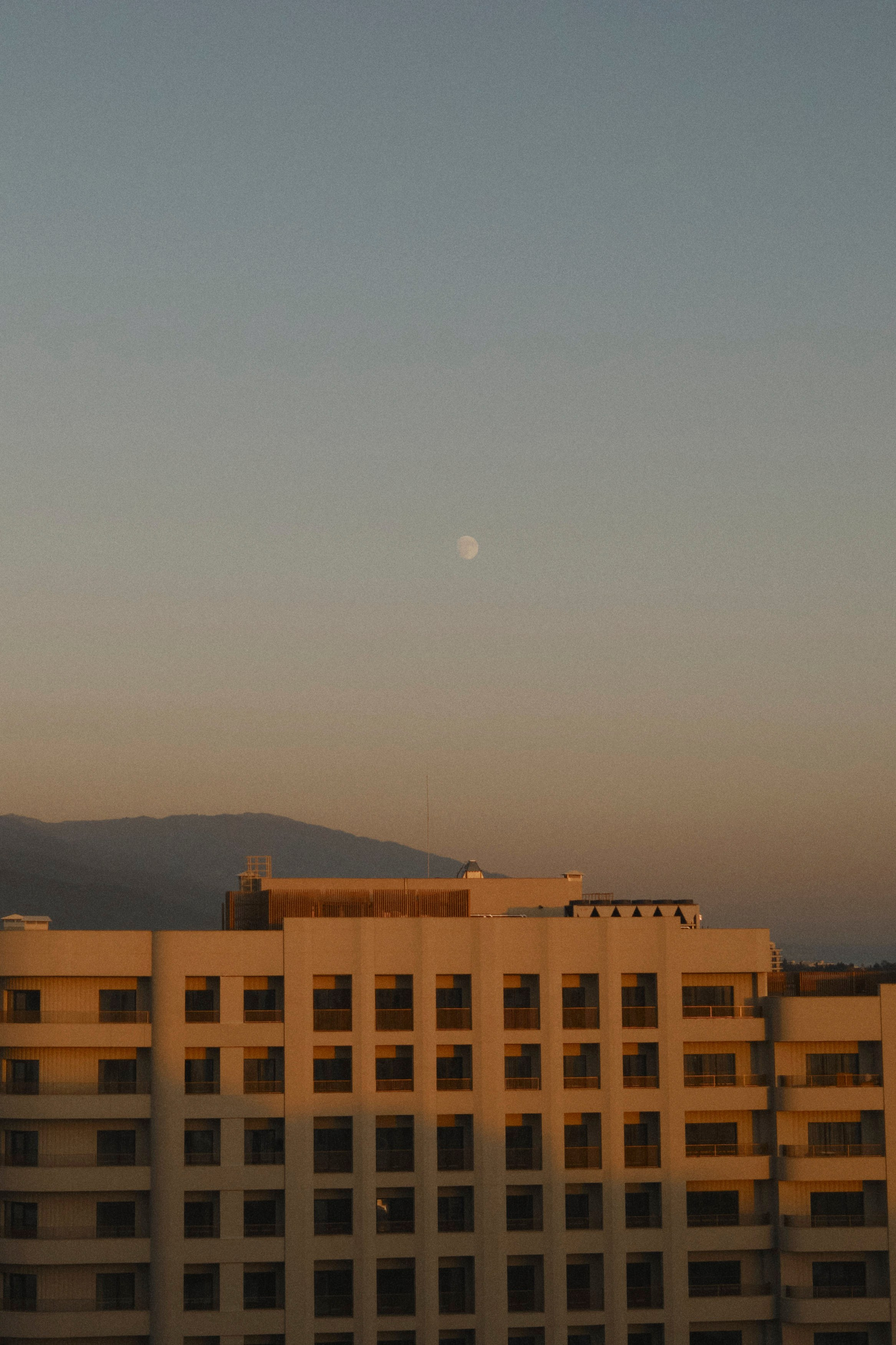 Свадьба на мыльницу. Фотограф Тим Бритнев