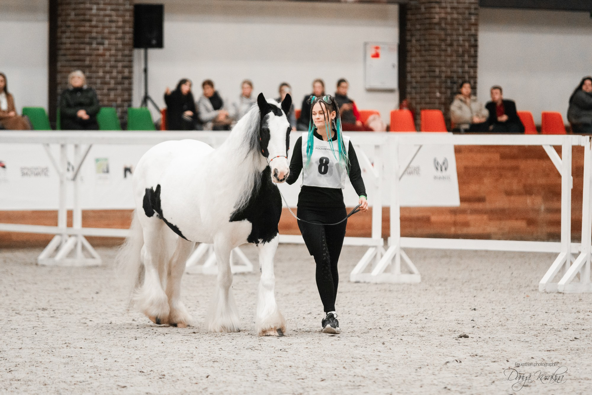 8-я международная выставка Конная Россия. Конный фотограф Куракина Дарья • Фотосессии с лошадьми