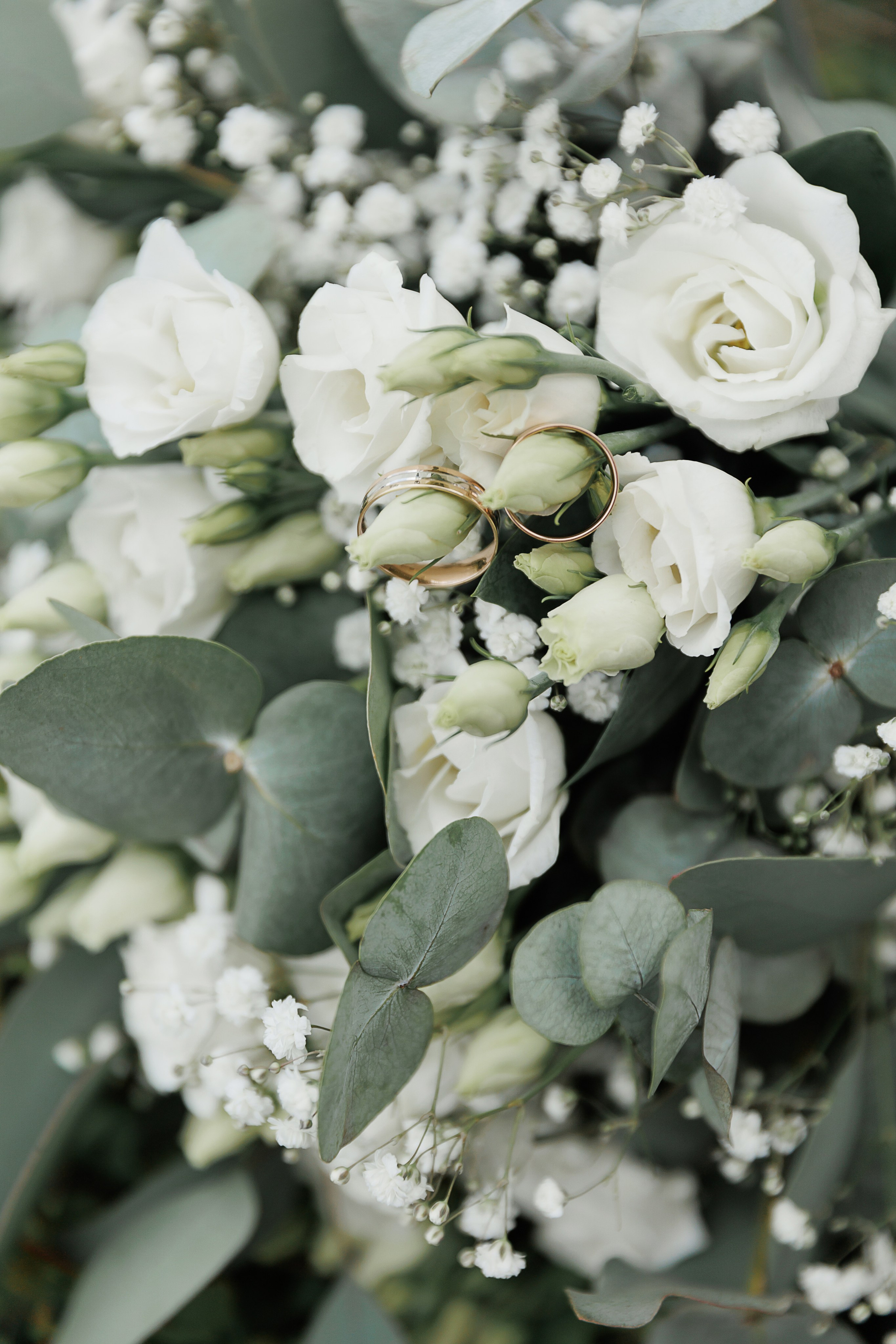 Свадьба Глеба и Дарьи. Свадебный и семейный фотограф в Твери и Тверской области