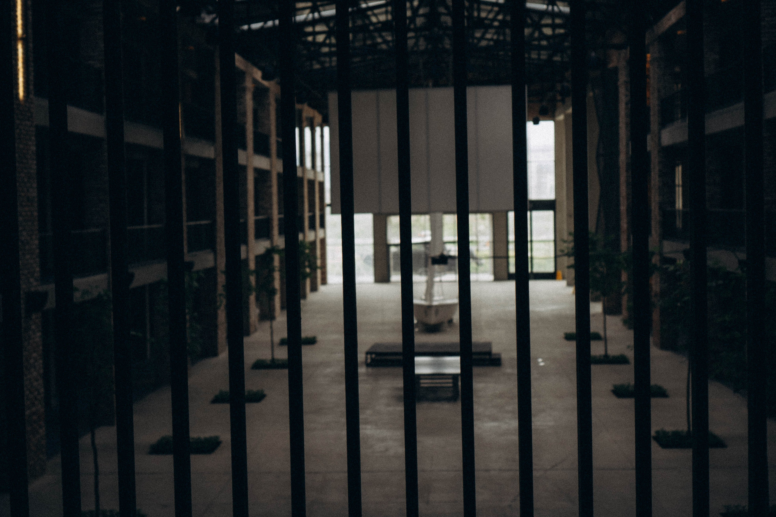 Кавказ. Профессиональный фотограф, Санкт-Петербург — Виктория Богомолова