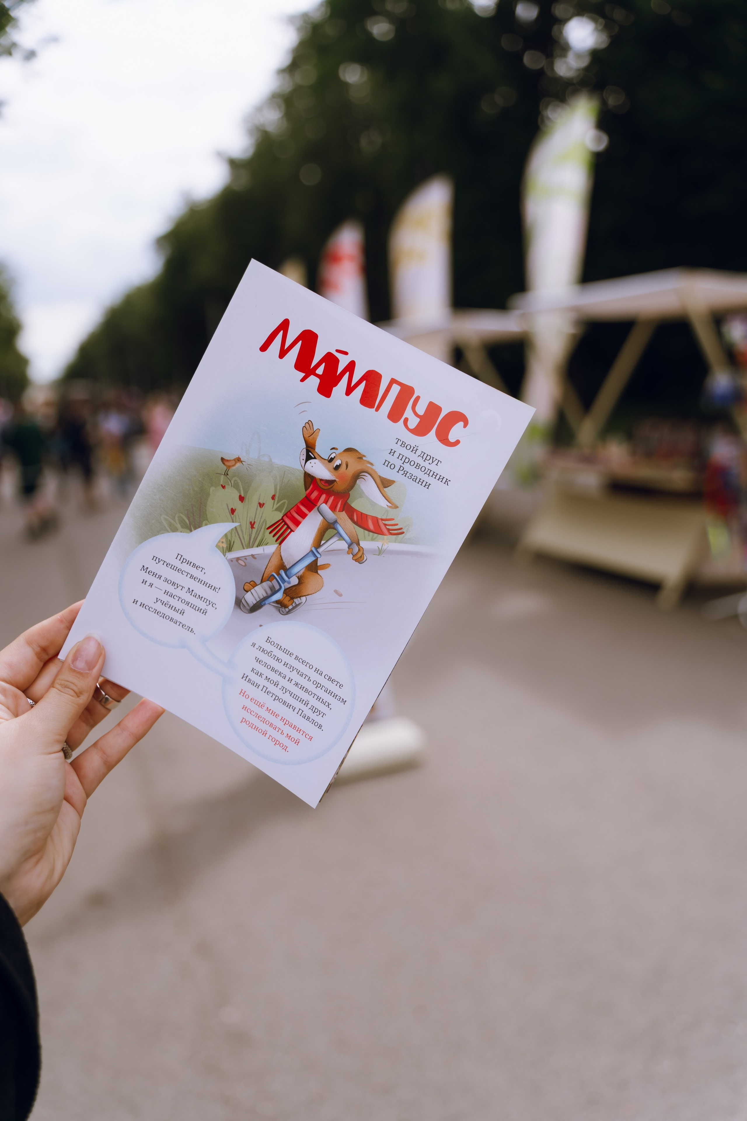 Площадка фестиваля «Мампус и его друзья» в Лесопарке 2025. Фотограф Надежда Погребняк | Рязань | Москва