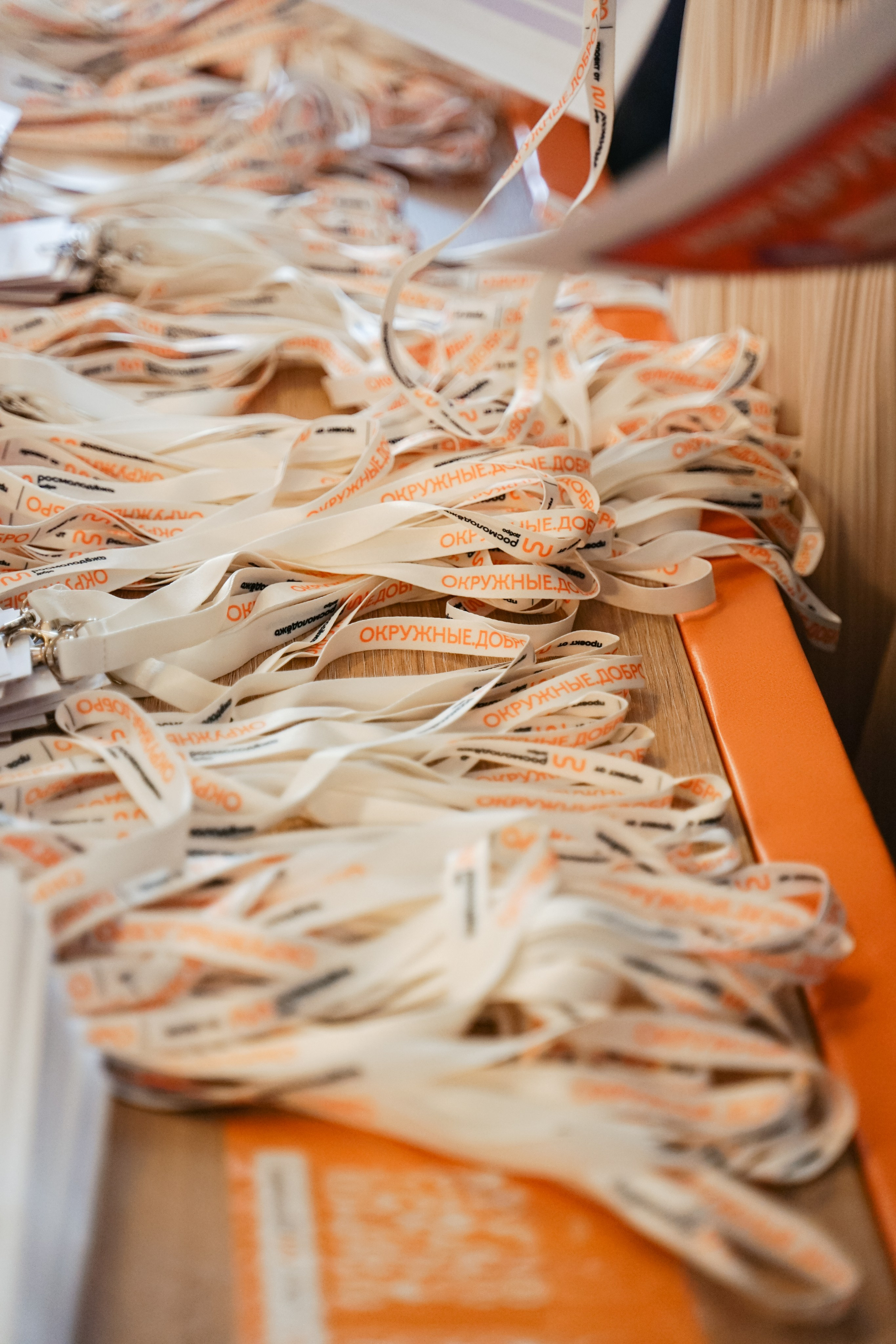 Форум добровольцев ЦФО 2023. Фотограф Надежда Погребняк | Рязань | Москва