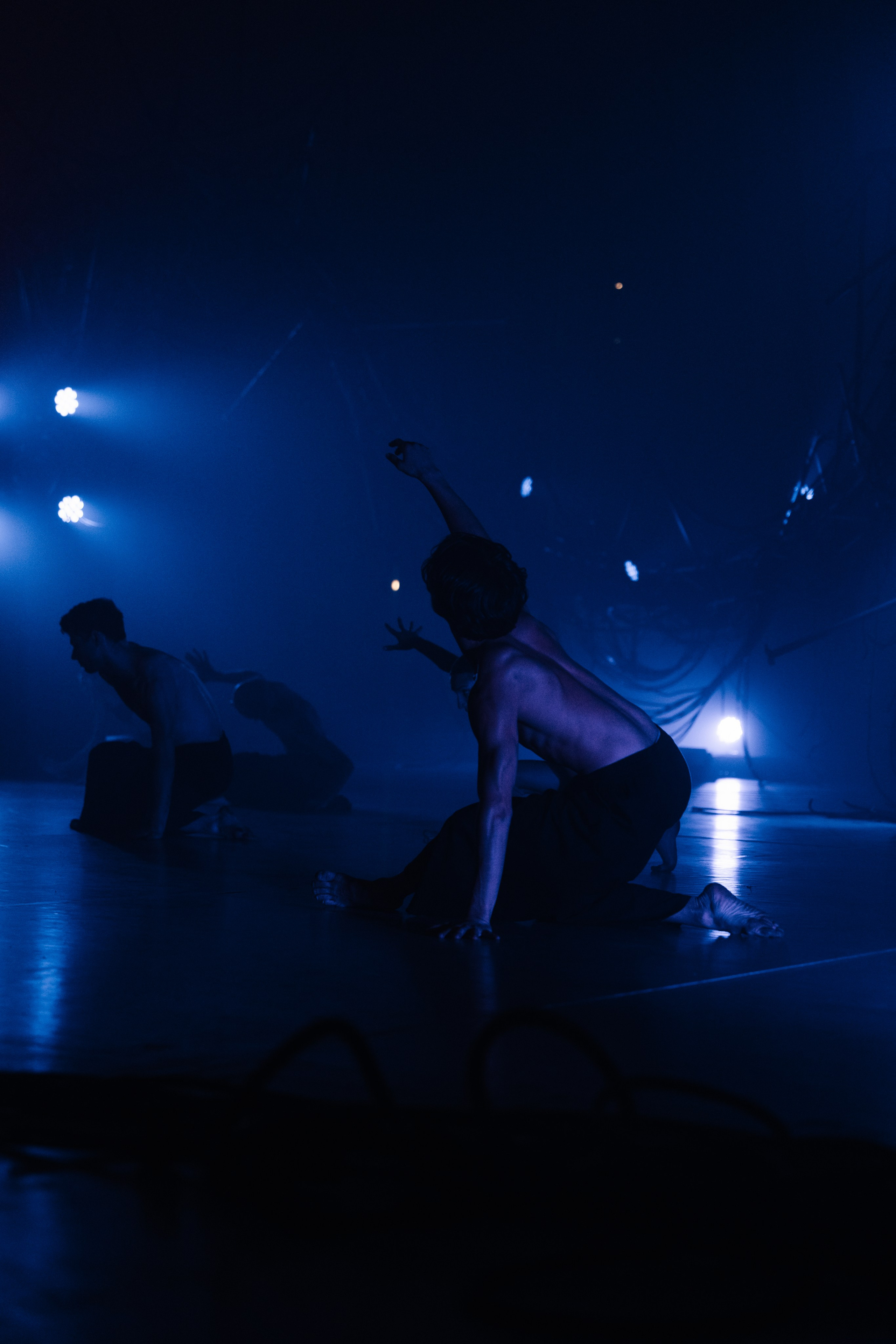 PERFORMA, The Hour of the Horse. @tomrus: Рустам Шагиморданов — фотограф