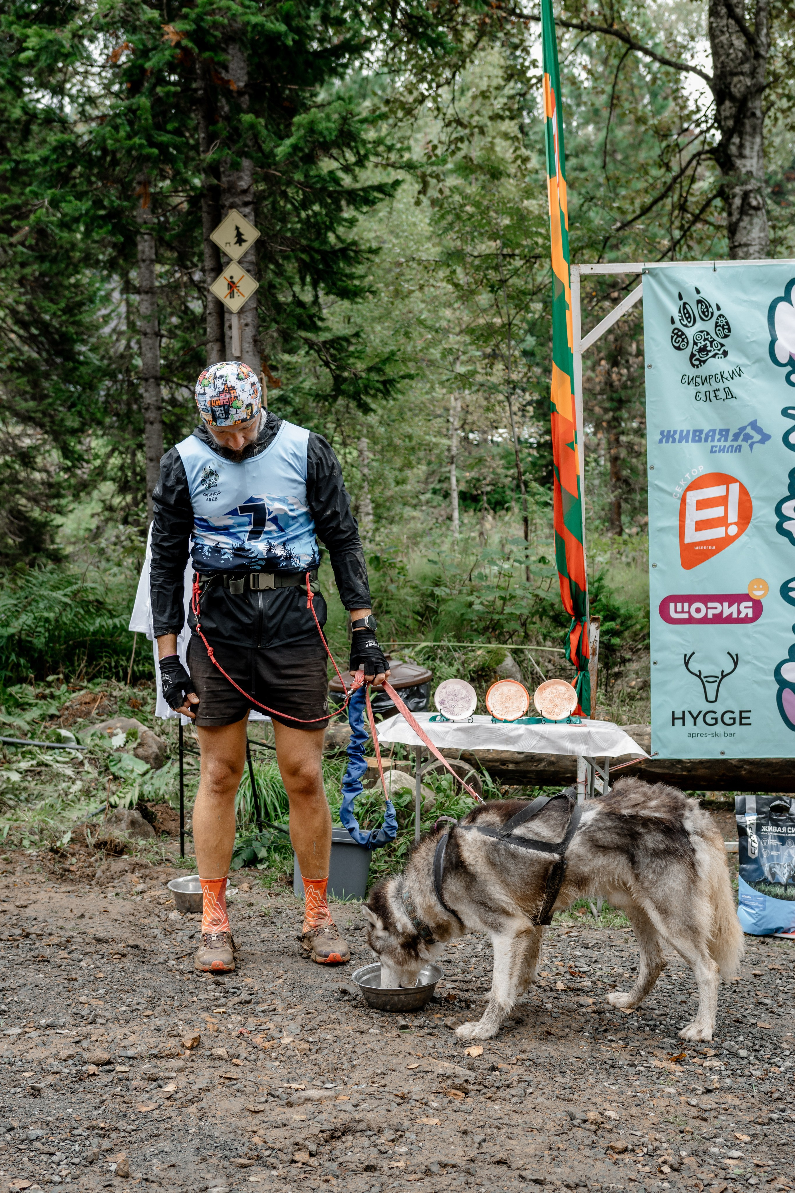 Дог-треккинг