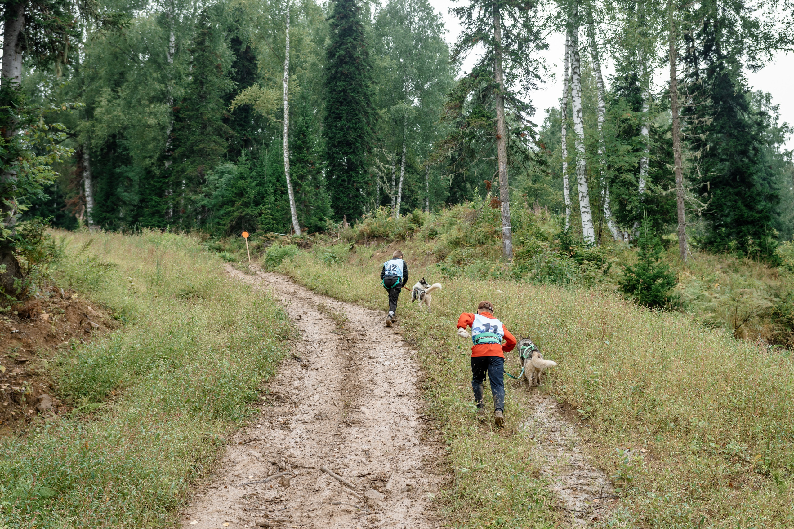 Дог-треккинг