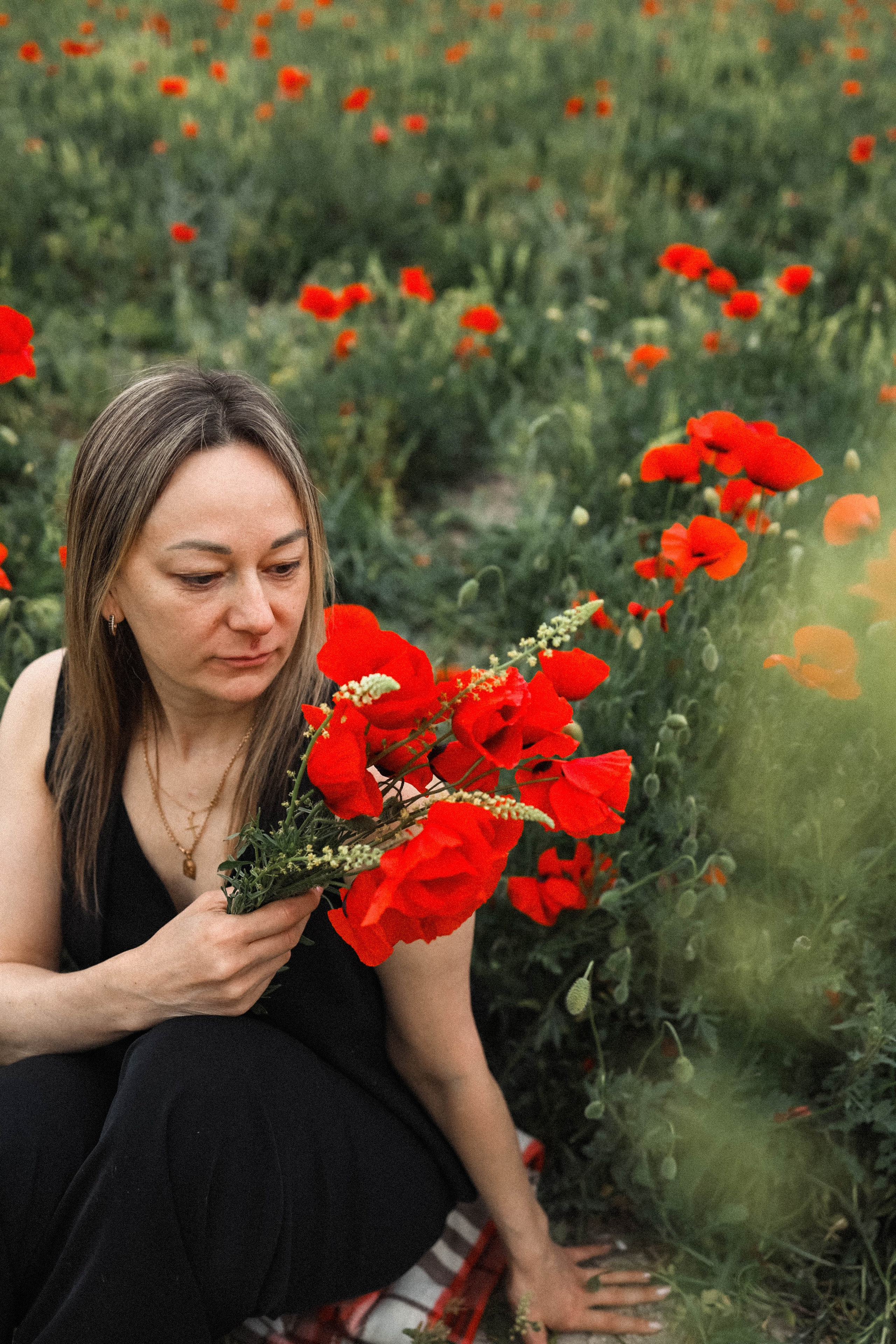 Маки. Фотограф Немазенко Ольга
