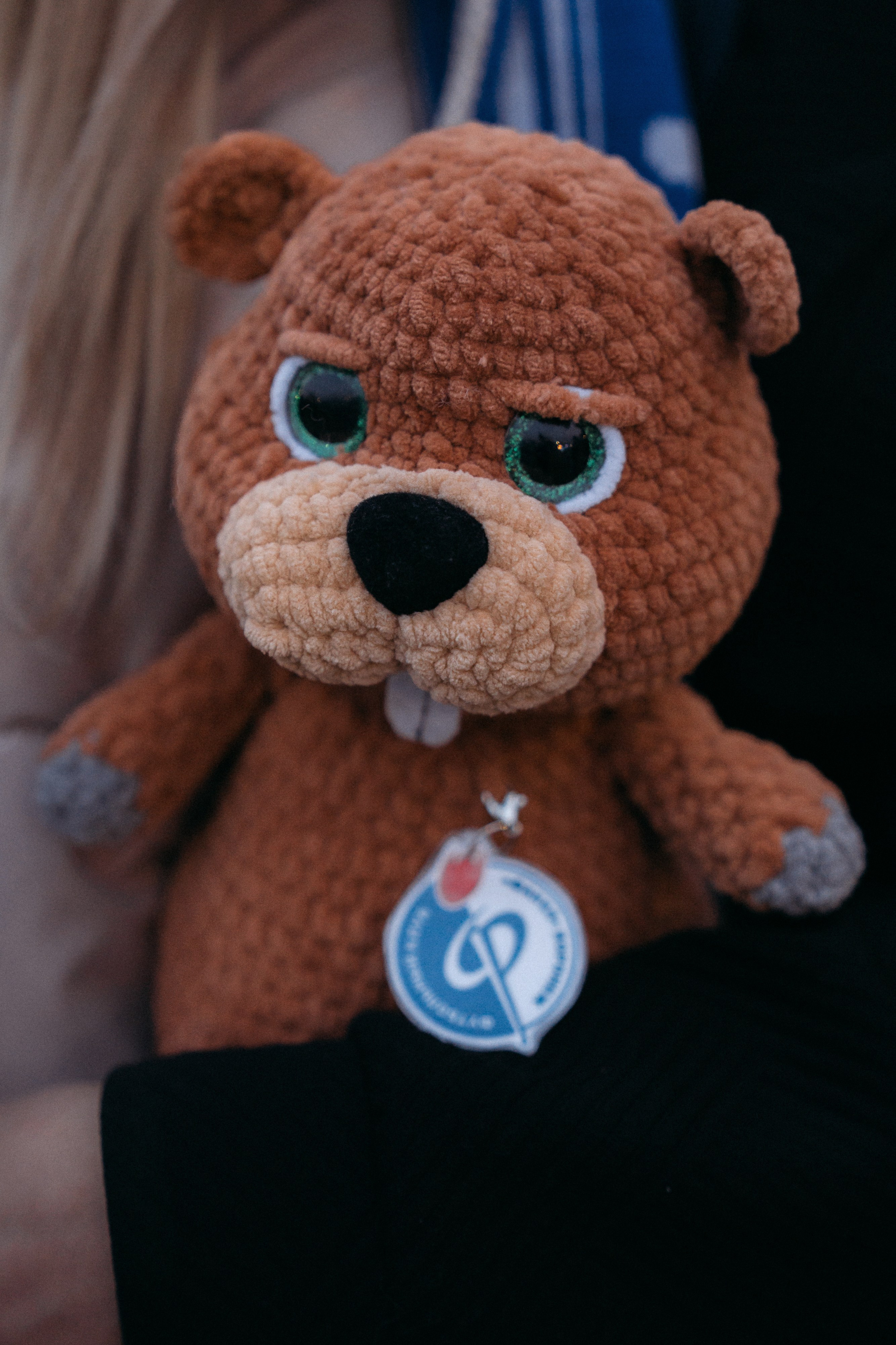 Репортажная фотосъемка фан-фестиваля. Свадебный и репортажный фотограф в Воронеже Роман Янко