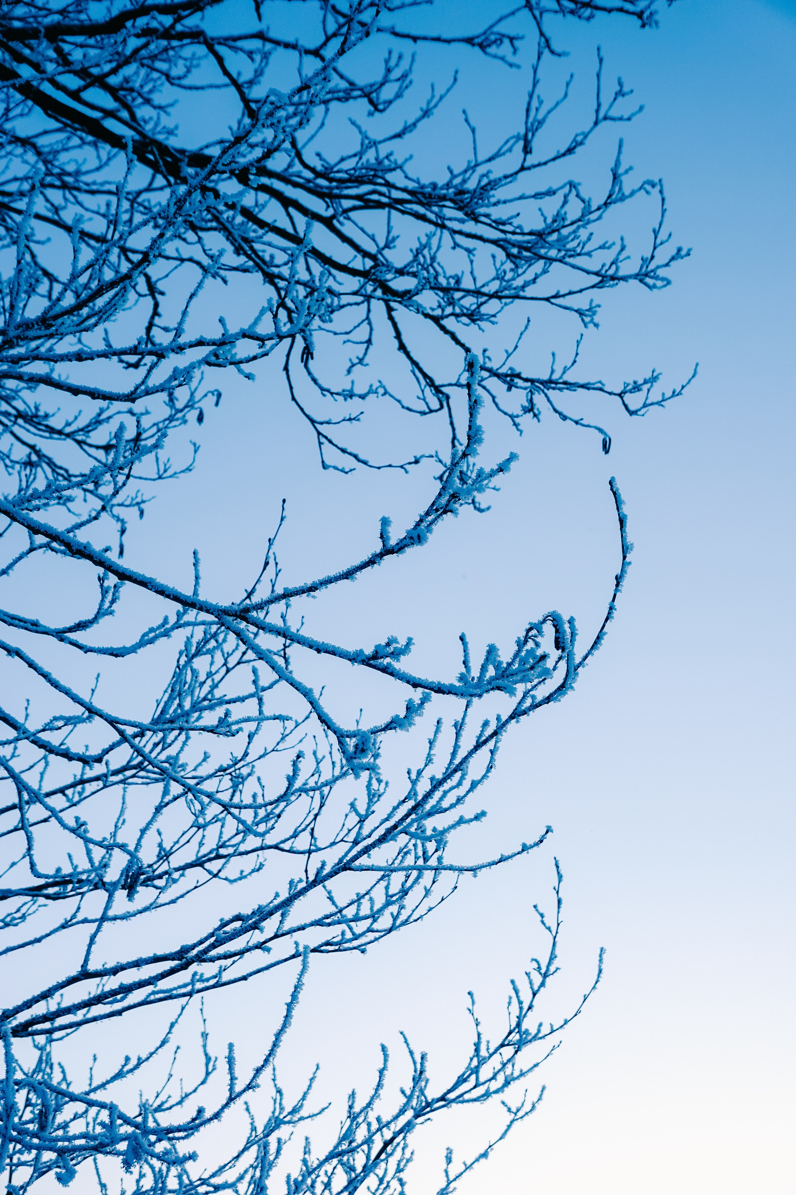 В дали от города. Фотограф Алиса Аспер