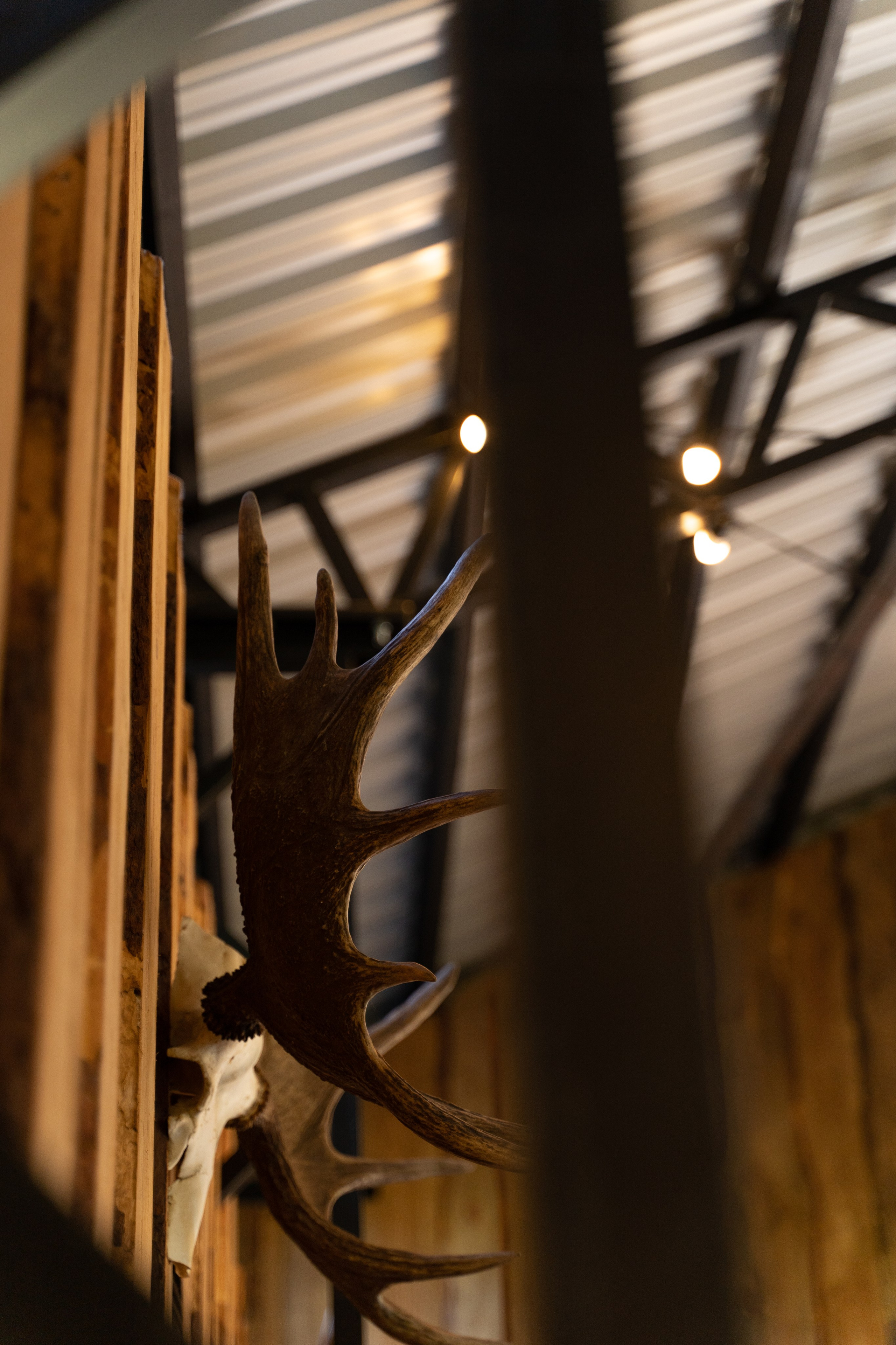 День рождения. Фотограф в Москве и Нижнем Новгороде Никонова Анастасия