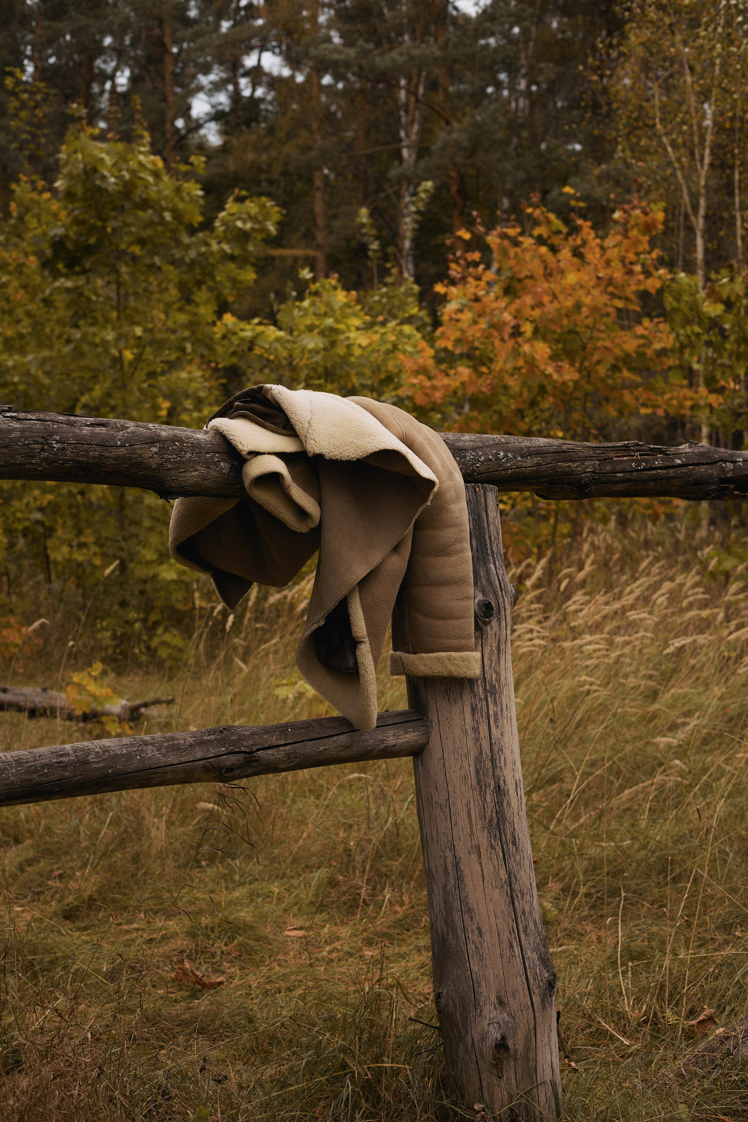 Ион. Фотограф в Москве Струц Влада