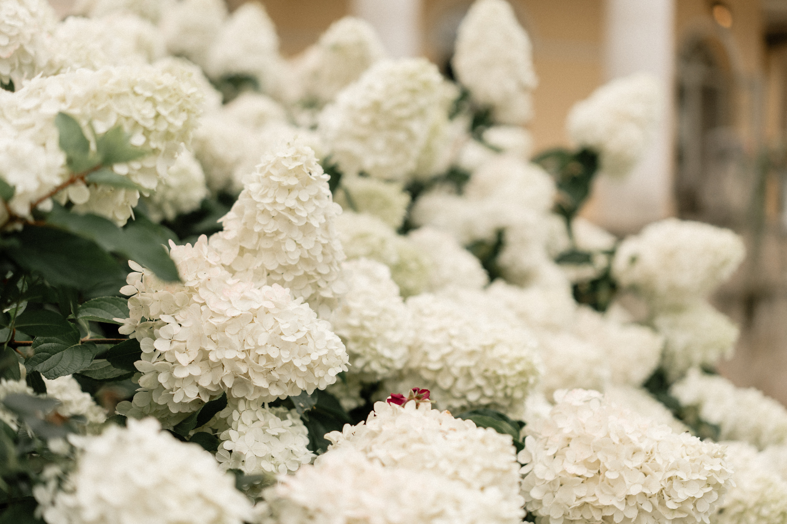 Олег и Татьяна. Фотограф Кристина Ерохина