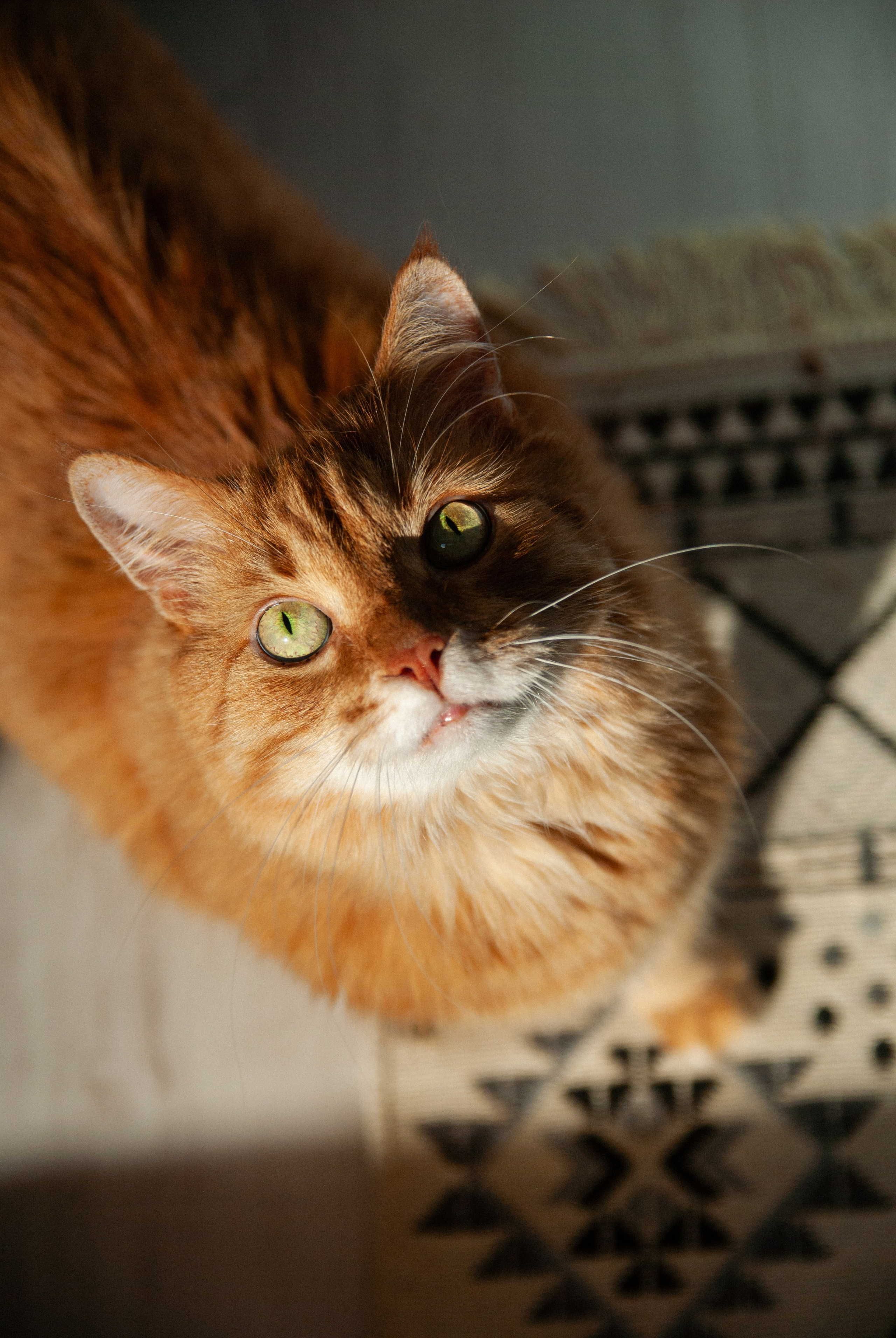 Зоопарк в моём багаже. Кошенкова Мария: портретный и репортажный фотограф. Санкт-Петербург