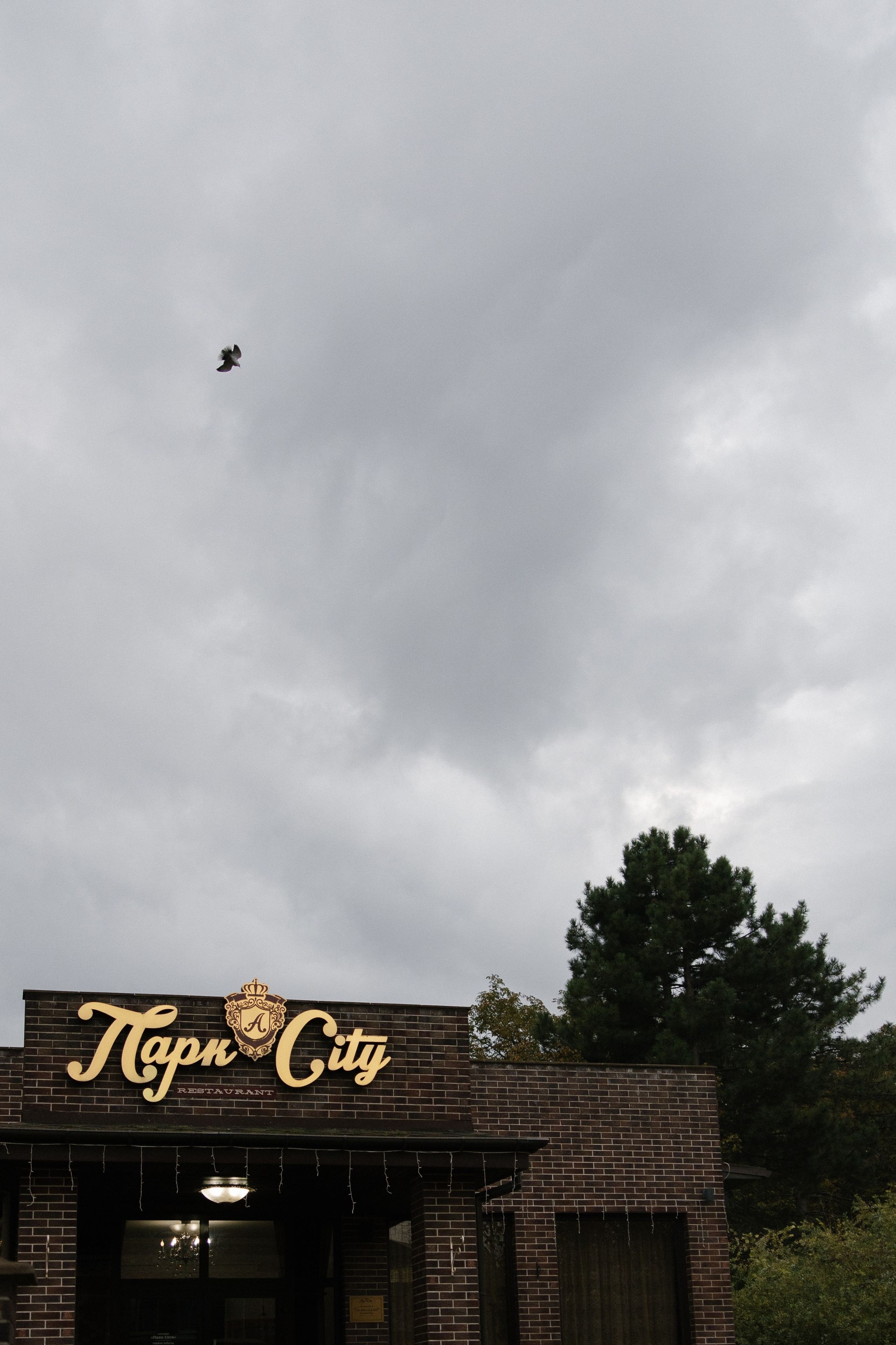 Яна и Максим. Свадебный и Семейный фотограф в городе Тимашевск и Краснодар