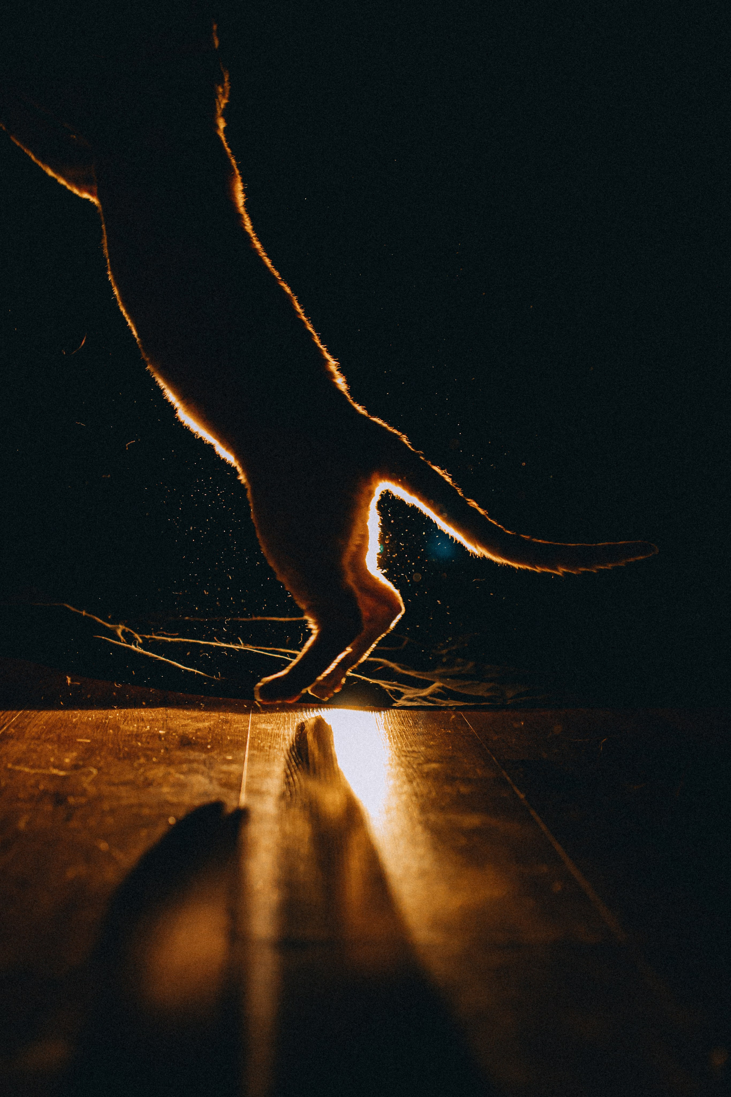 Гречка, Ковш и их семья