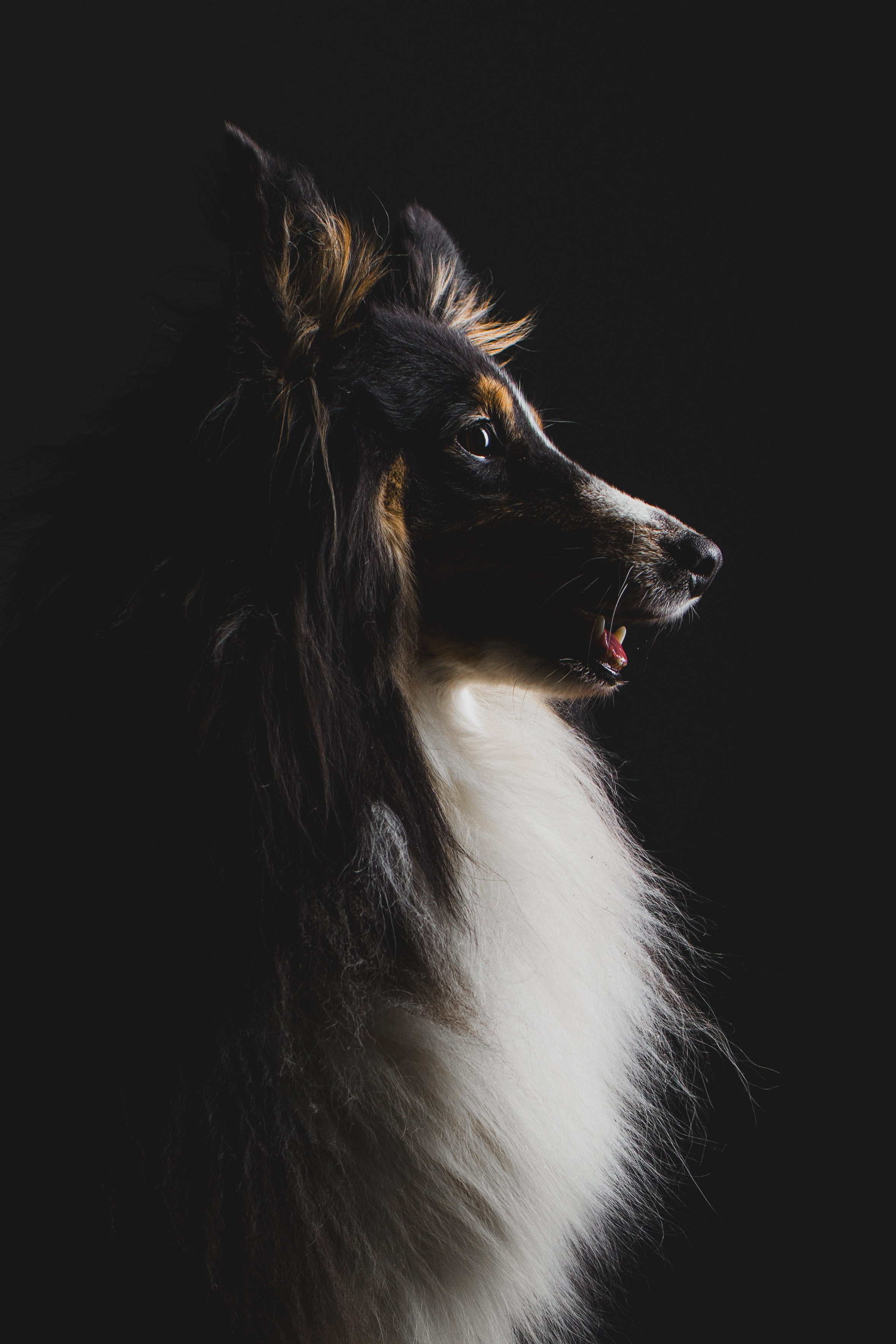 Воркшоп по импульсному свету