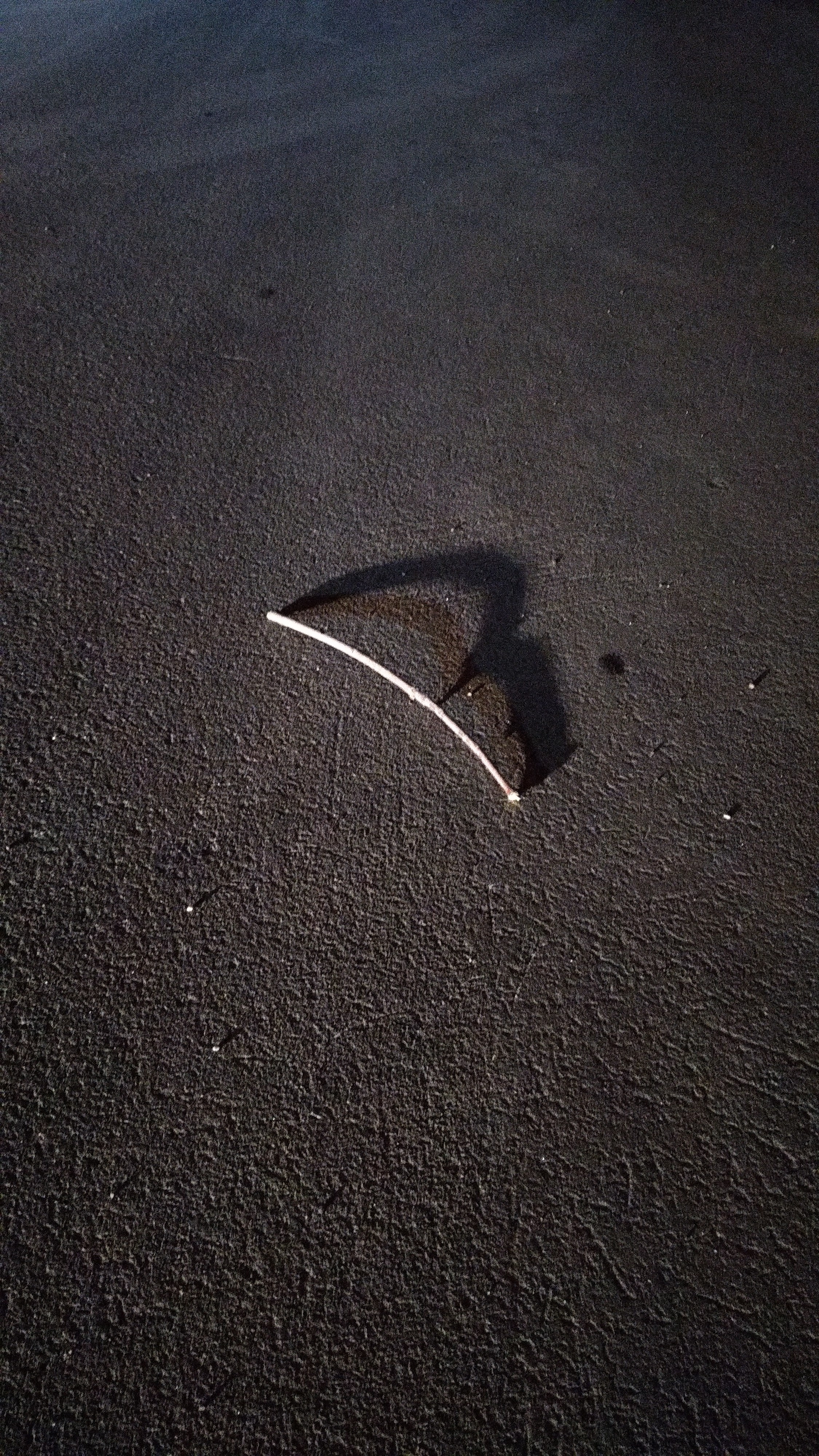 Автор: Артём Чекалин