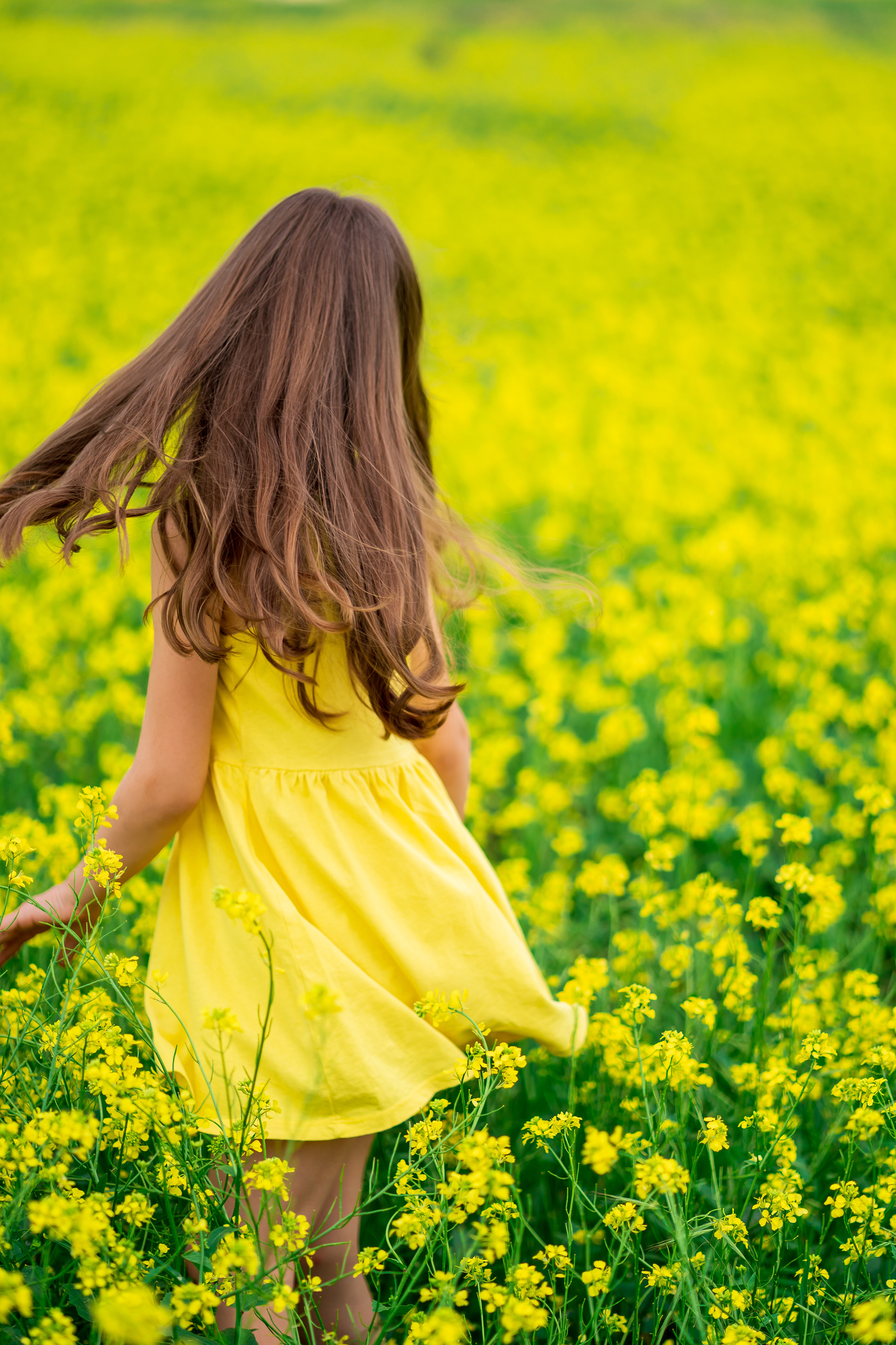 Фотосессия Алёнушки в желтом поле. Семейный и детский фотограф в Ростове-на-Дону Екатерина Шевченко
