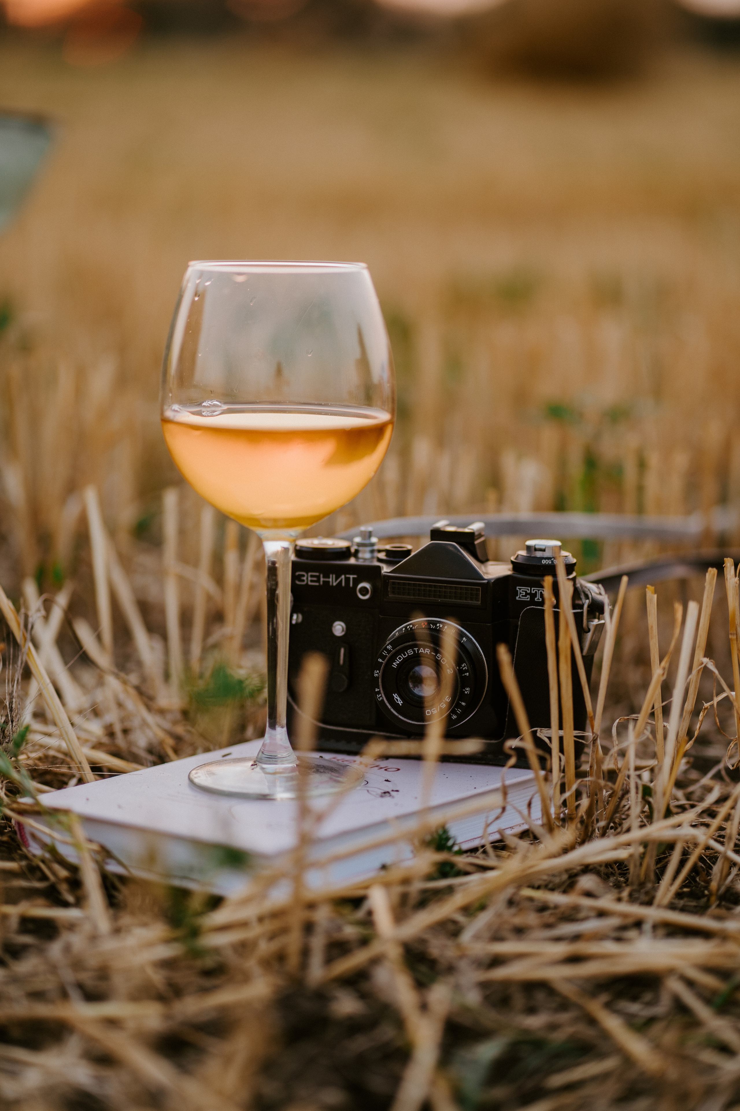Фотосессия в стогах Ирины. Семейный и детский фотограф в Ростове-на-Дону Екатерина Шевченко