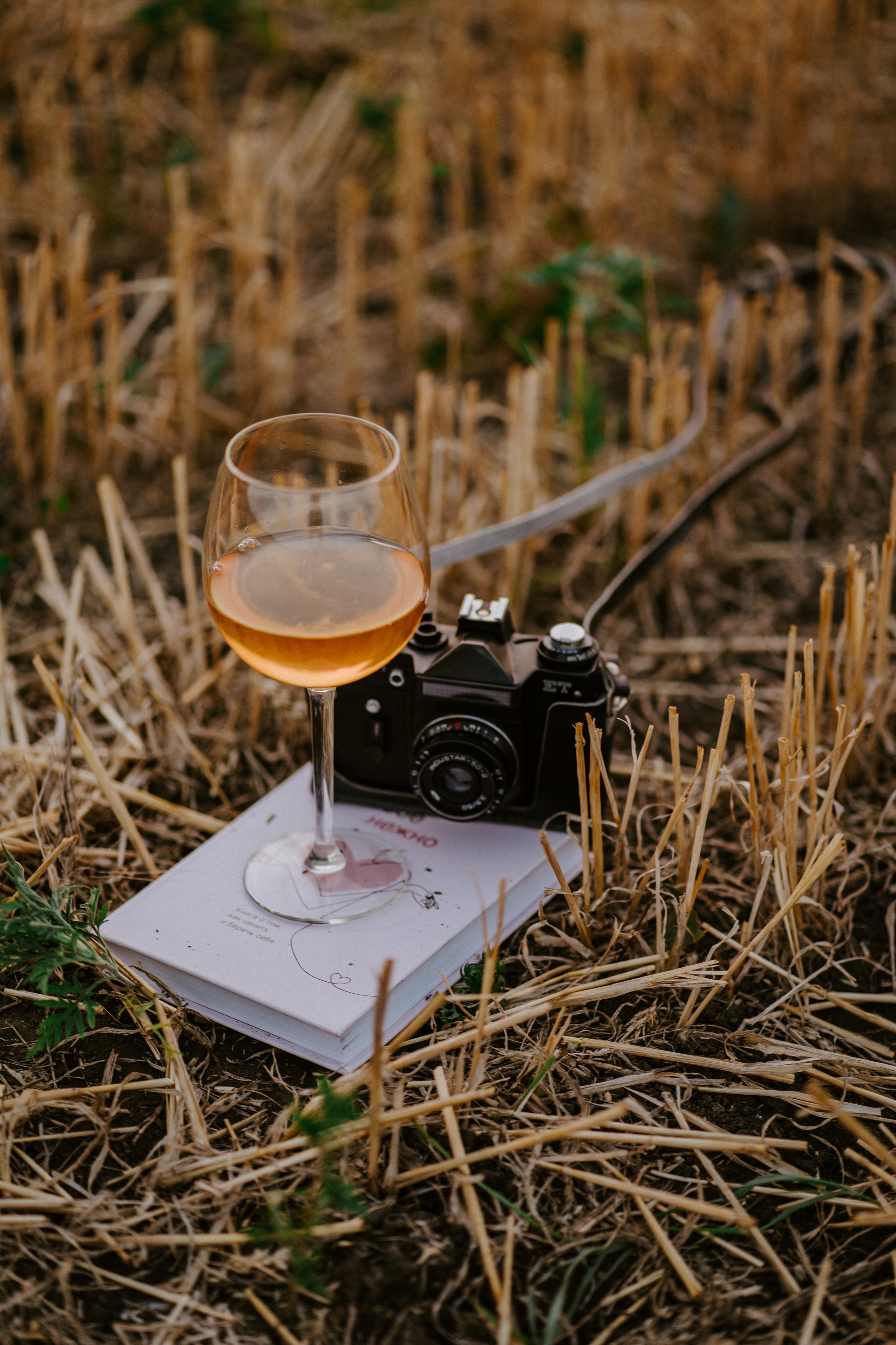 Фотосессия в стогах Ирины. Семейный и детский фотограф в Ростове-на-Дону Екатерина Шевченко