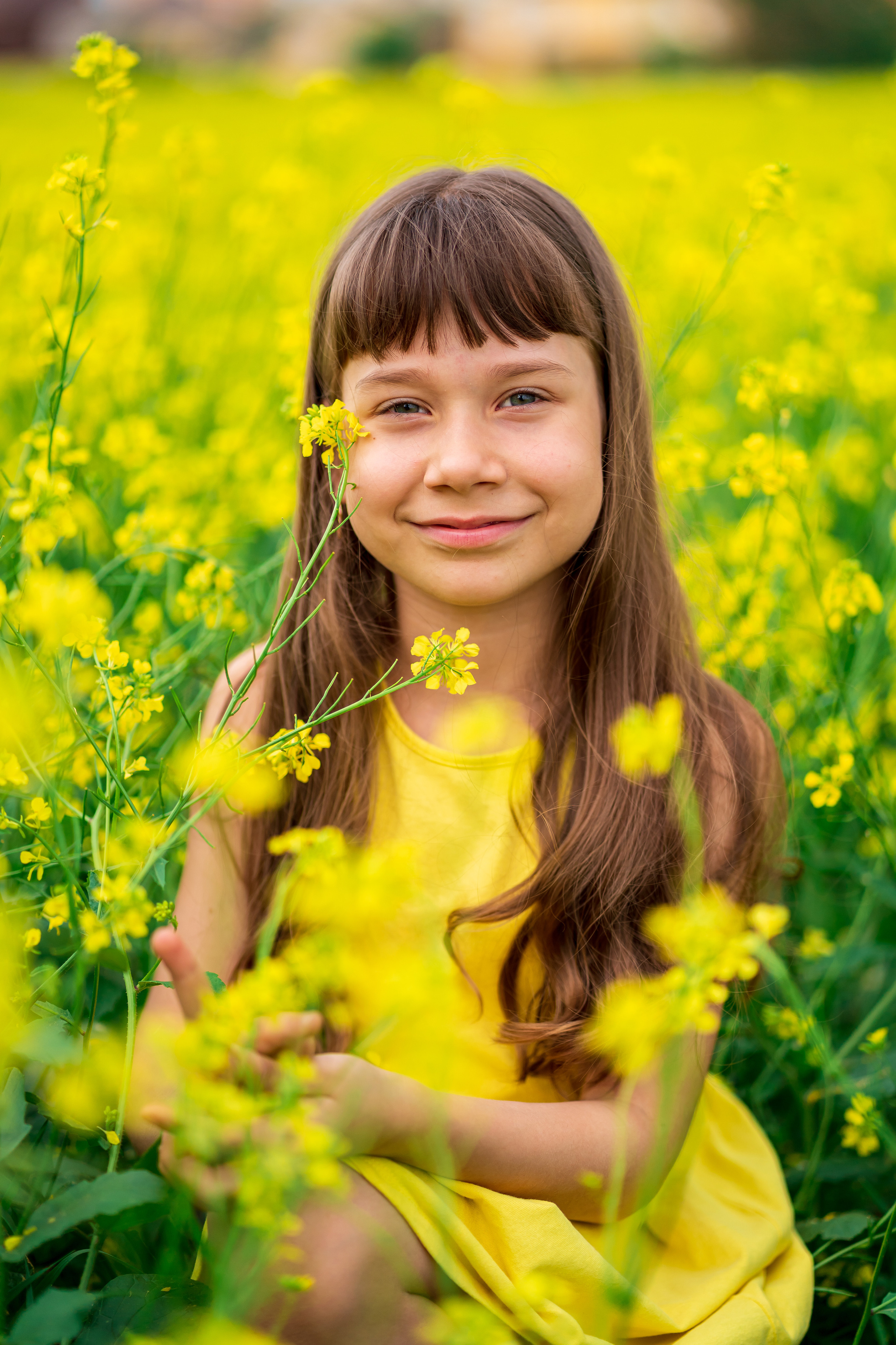 Фотосессия Алёнушки в желтом поле. Семейный и детский фотограф в Ростове-на-Дону Екатерина Шевченко