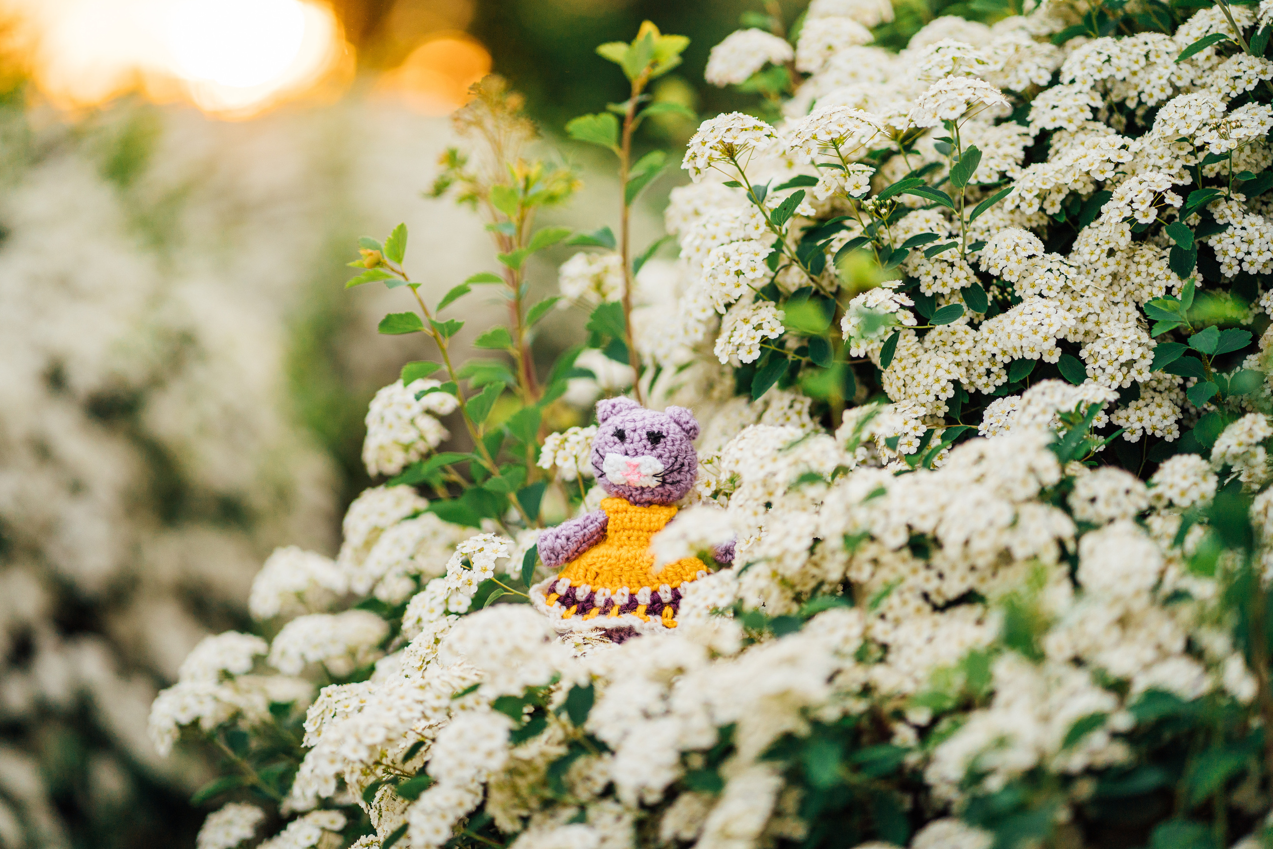 Фотосессия Алины и Дарьи. Семейный и детский фотограф в Ростове-на-Дону Екатерина Шевченко