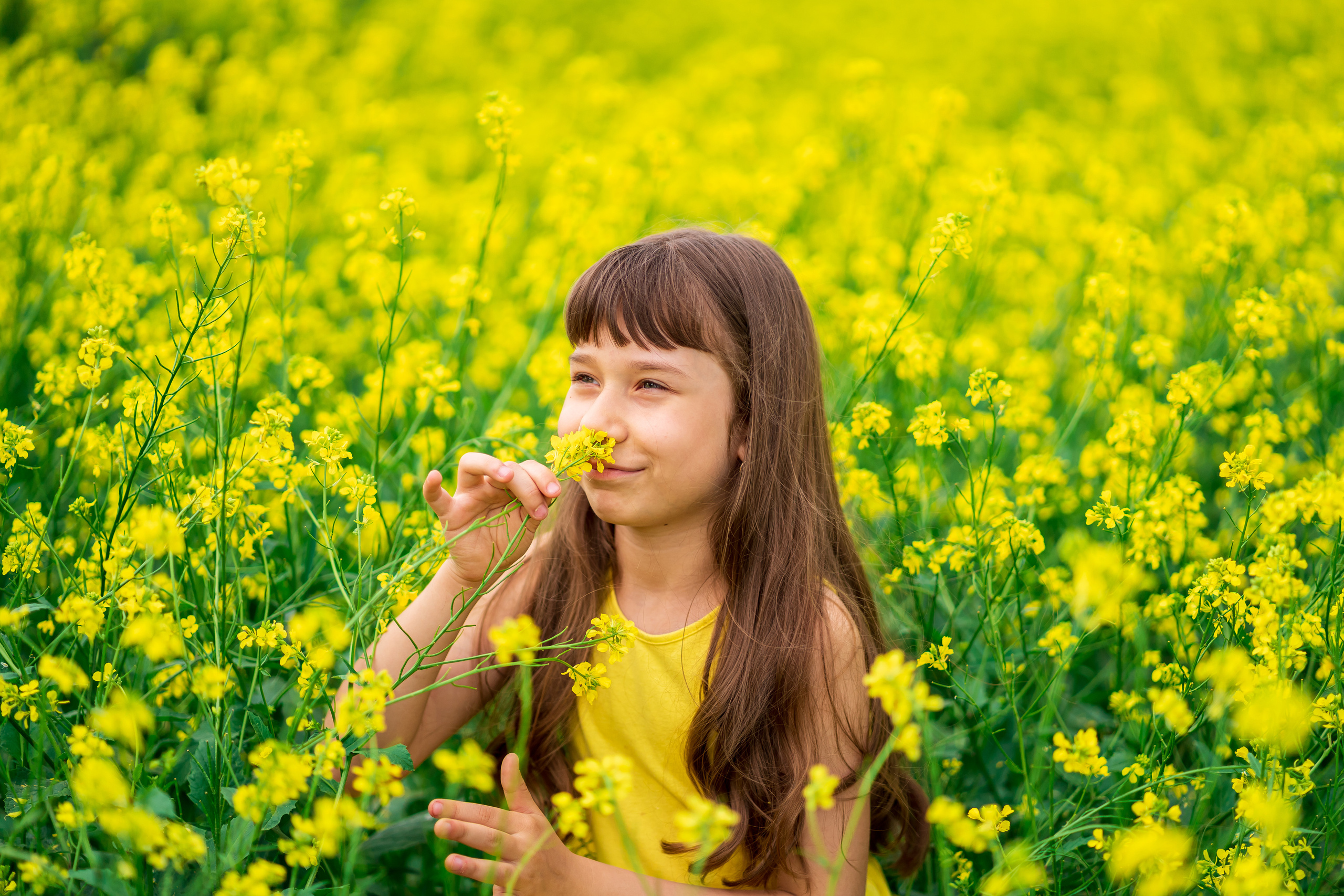 Фотосессия Алёнушки в желтом поле. Семейный и детский фотограф в Ростове-на-Дону Екатерина Шевченко