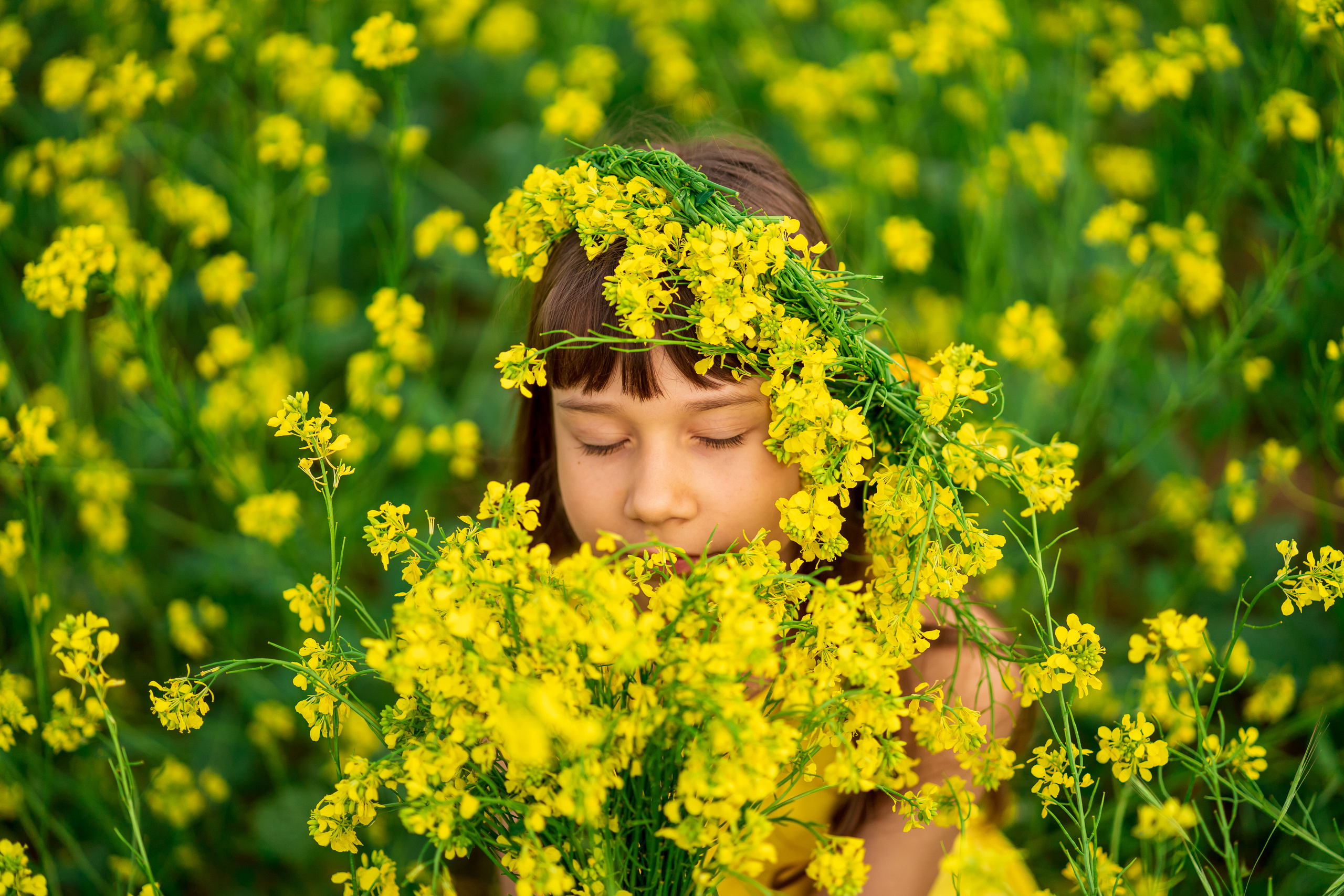 Фотосессия Алёнушки в желтом поле. Семейный и детский фотограф в Ростове-на-Дону Екатерина Шевченко