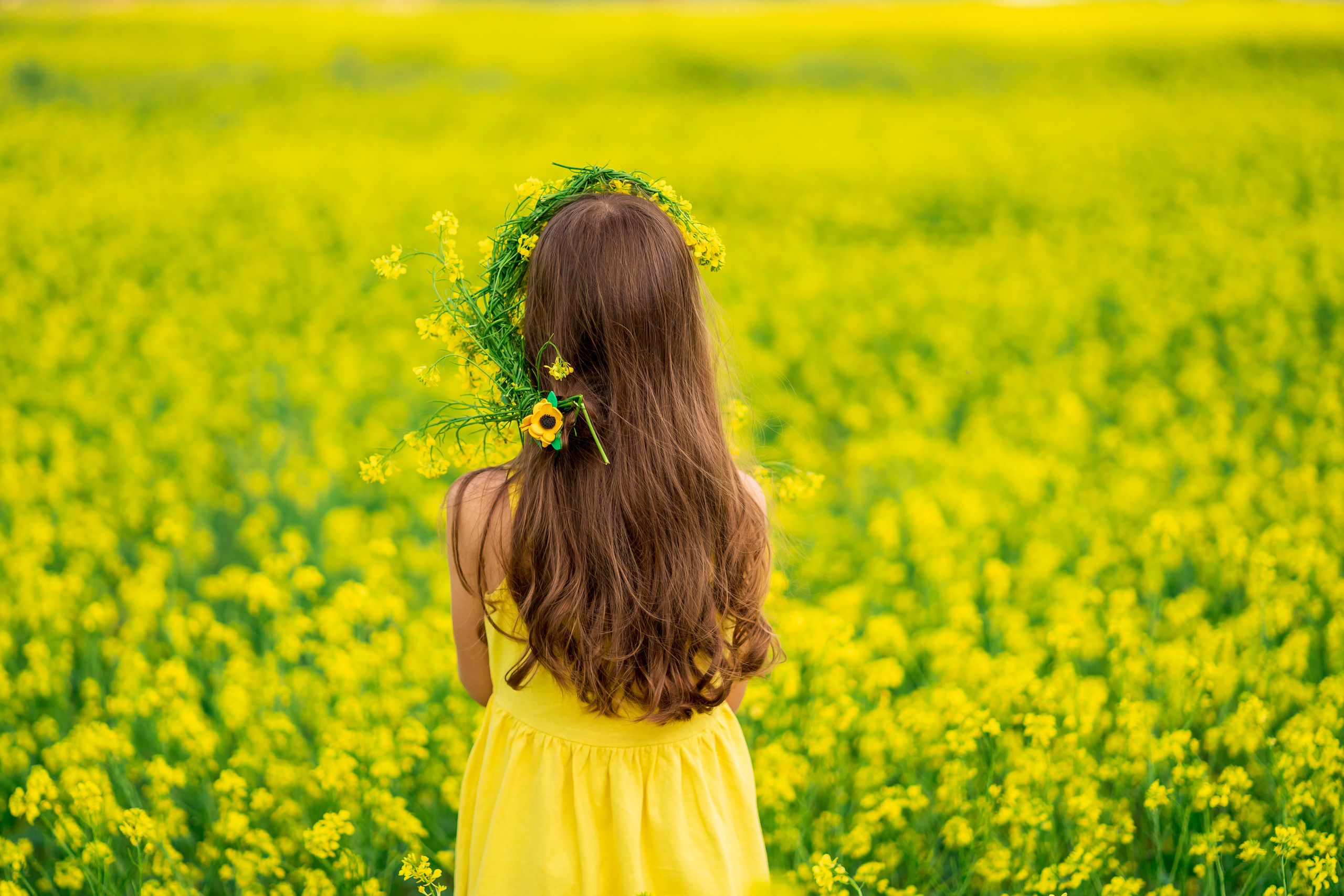 Фотосессия Алёнушки в желтом поле. Семейный и детский фотограф в Ростове-на-Дону Екатерина Шевченко
