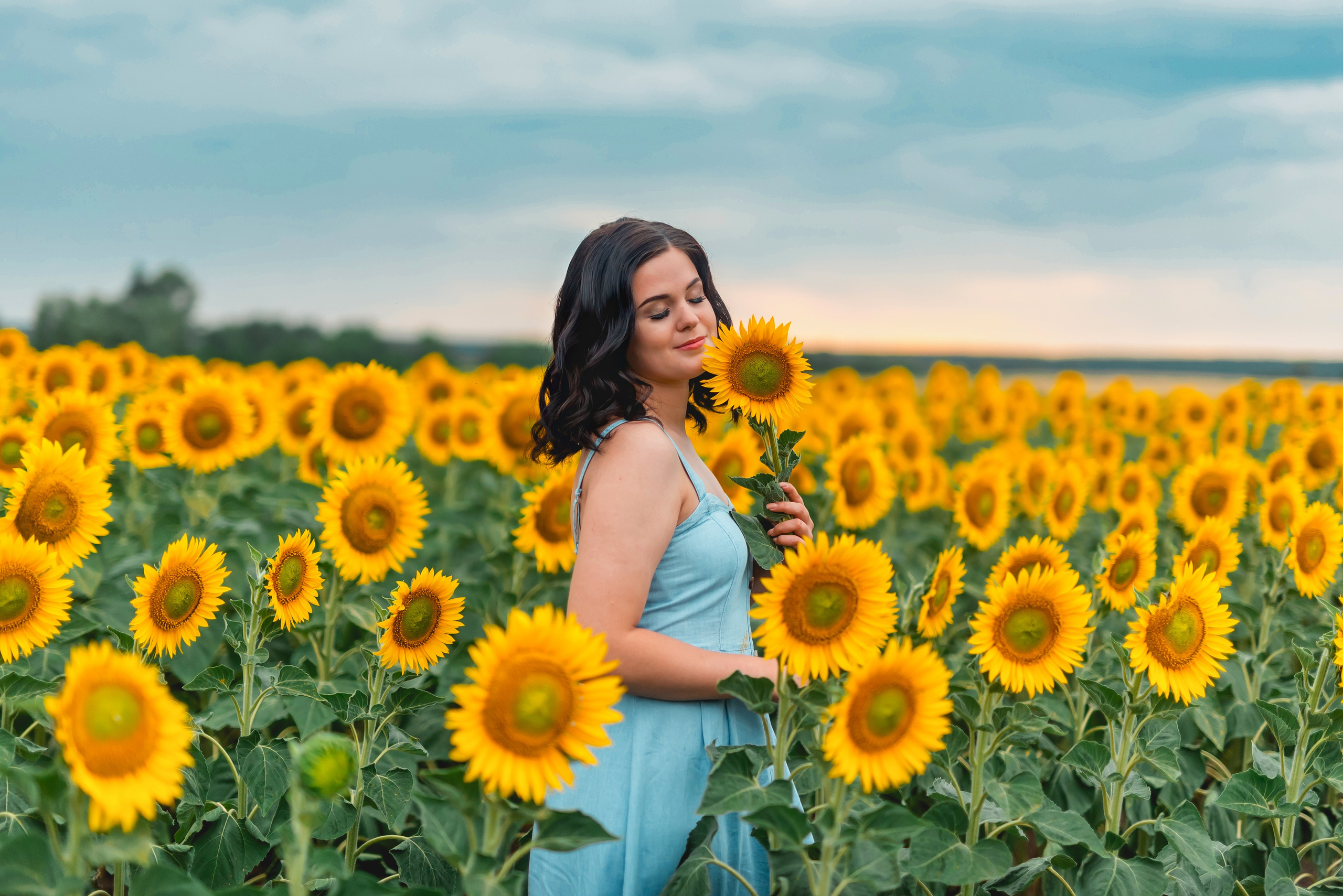 В ПОДСОЛНУХАХ. Семейный фотограф в Барнауле