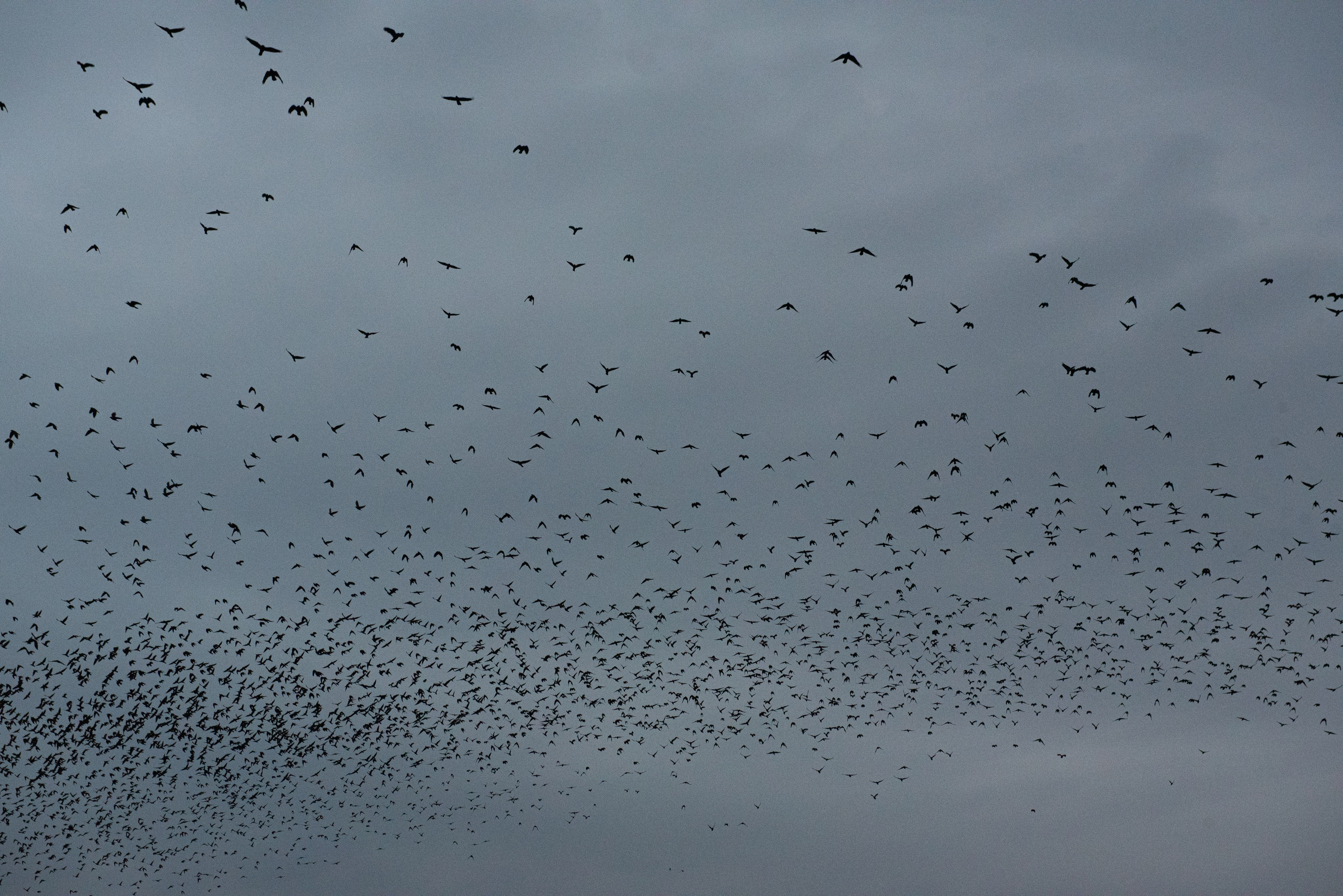 Мурмурация. Портретный и архитектурный фотограф в Москве и Санкт-Петербурге