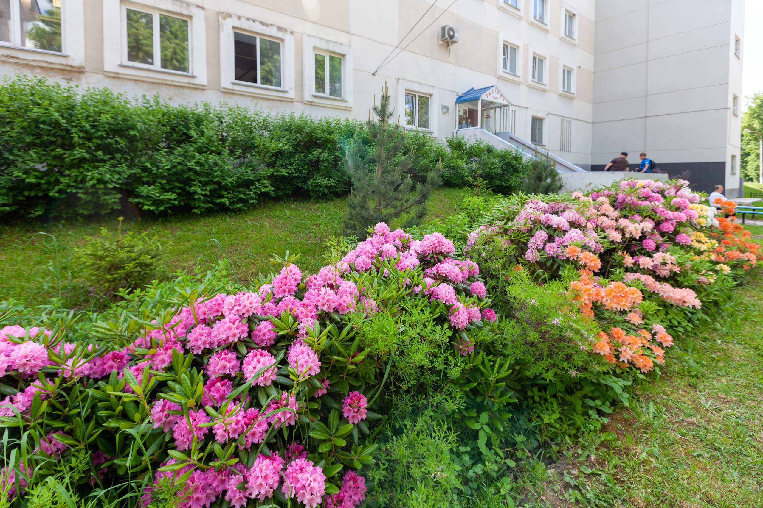 Сквер «80-летия Обороны Тулы». Фотограф в Туле Крупский АнДРей. Фотостудия «КАДР71» в Туле