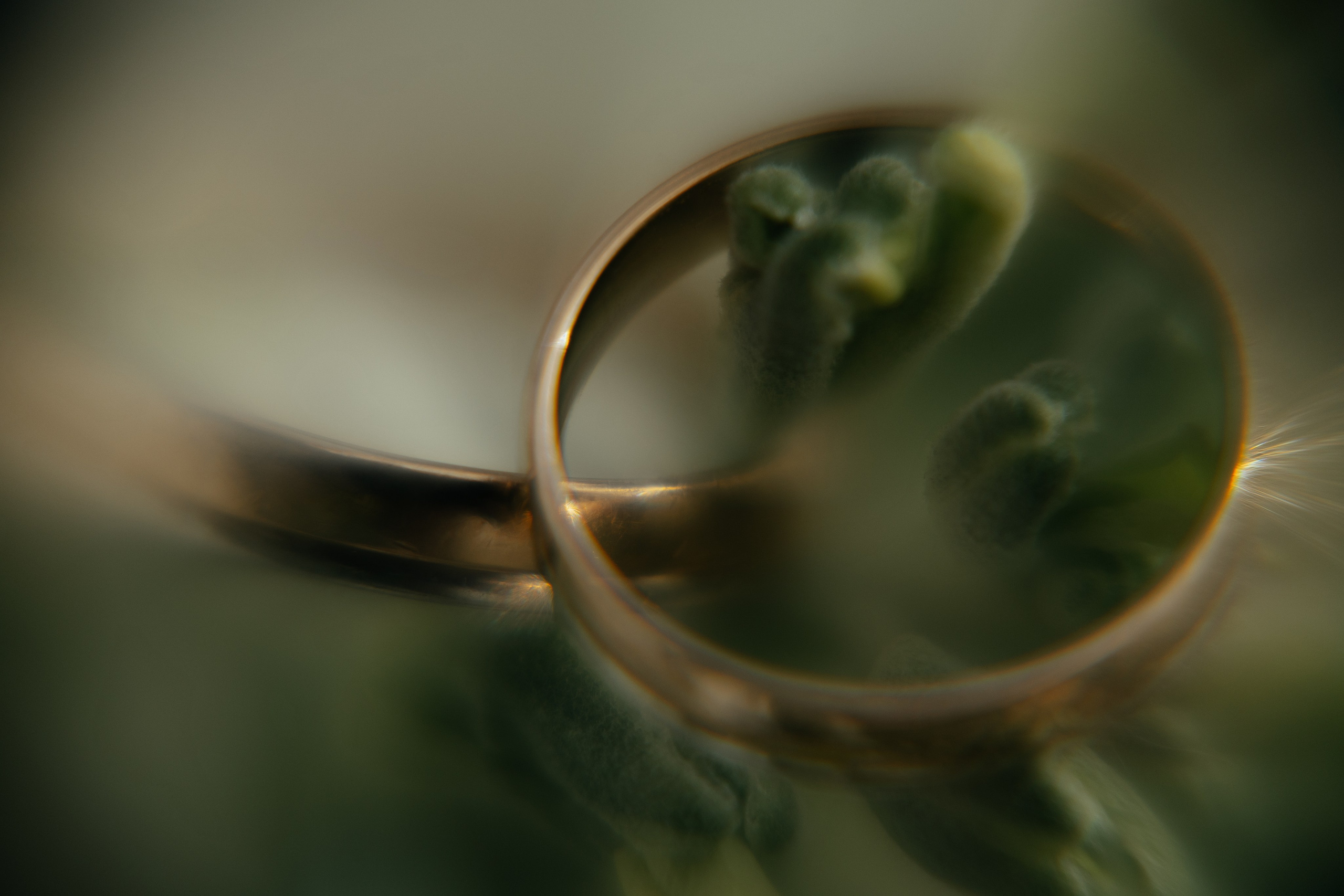 Борис и Евгения. Свадебный организатор в Ростове-на-Дону Яснов Роман