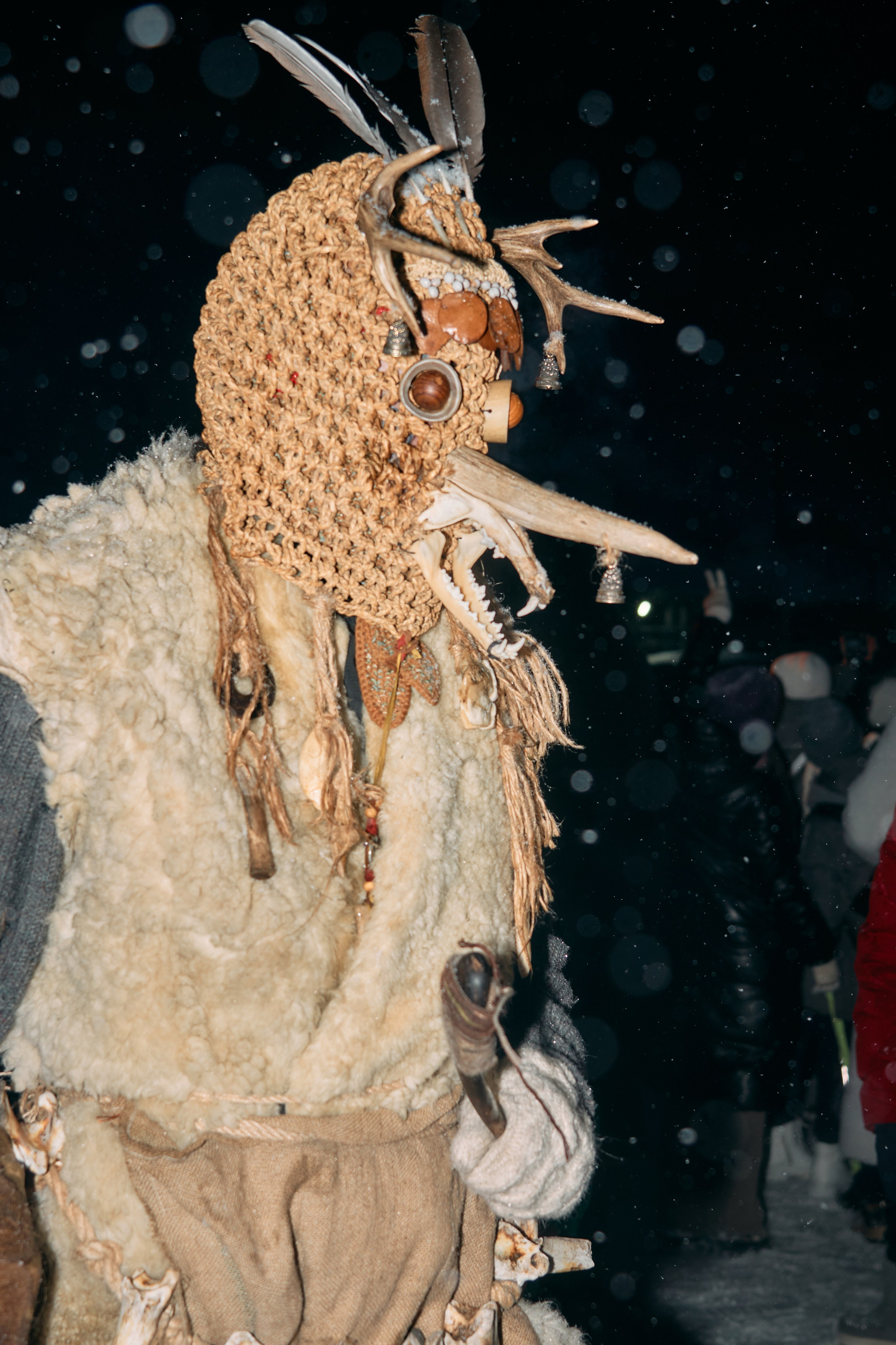 С медведем по соседям. Фотограф