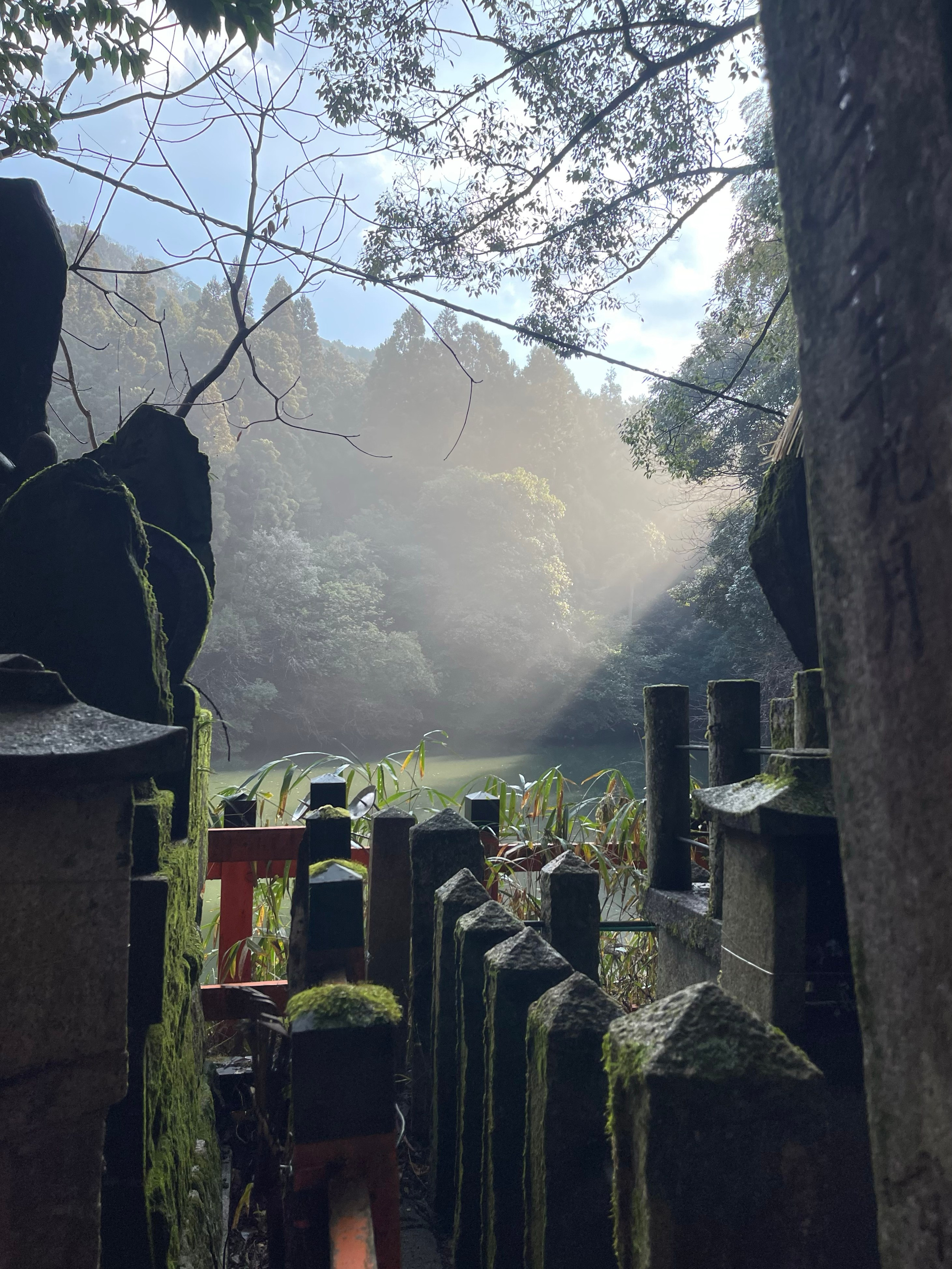 Kyoto. Фотограф Алина Диева Москва | Токио