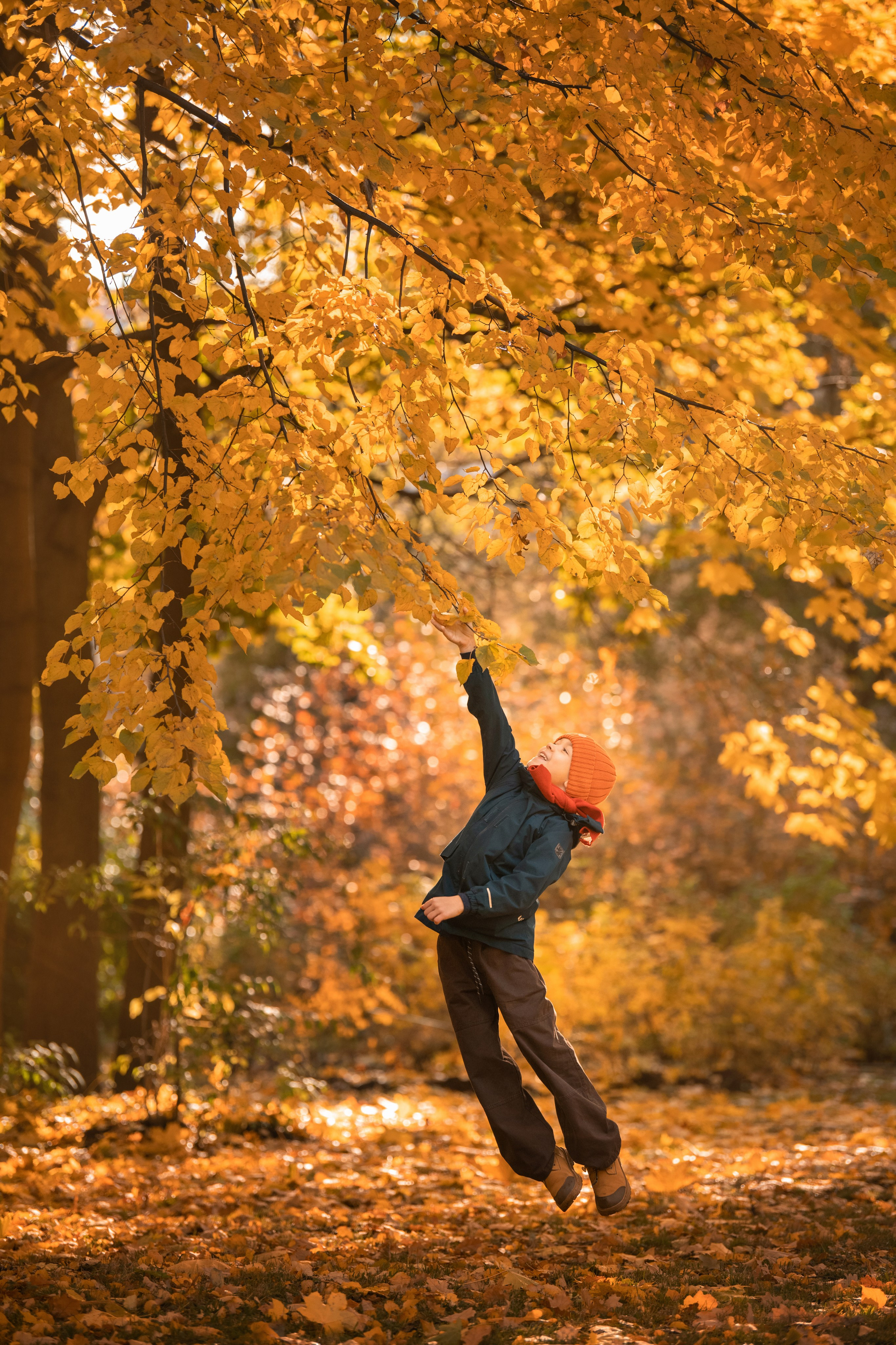 Художественная фотография. Главная