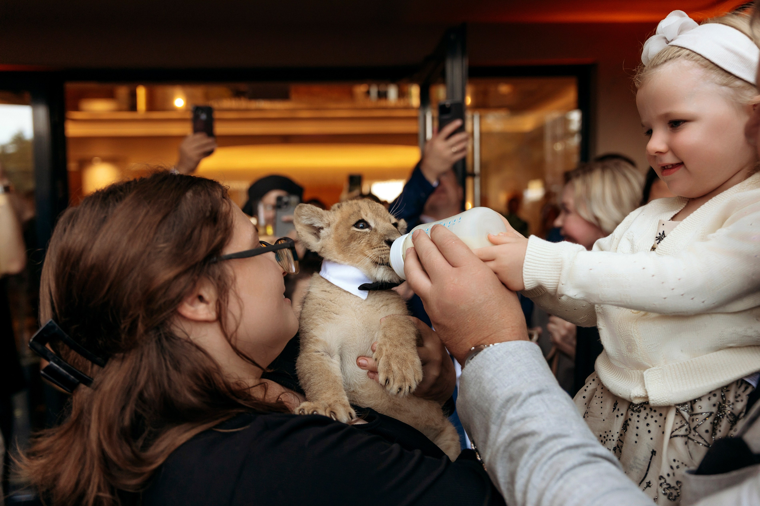 Открытие отеля Royal Lions Grand Hotel 15 сентября 2024. Фотограф в Калининграде свадебная фотография, репортажная, фотосессии
