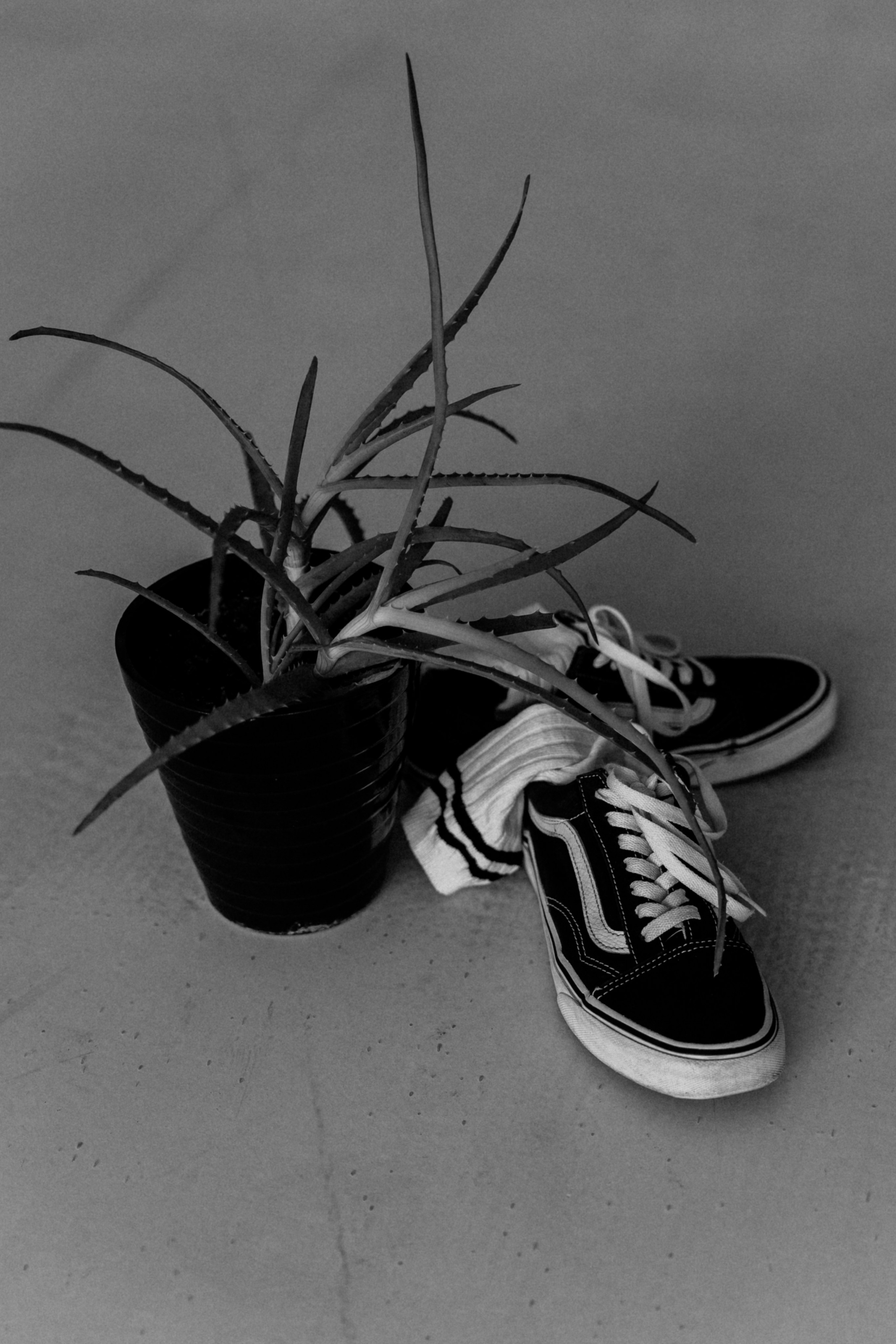 Алена. Фотограф Москва, Санкт-Петербург, Абакан