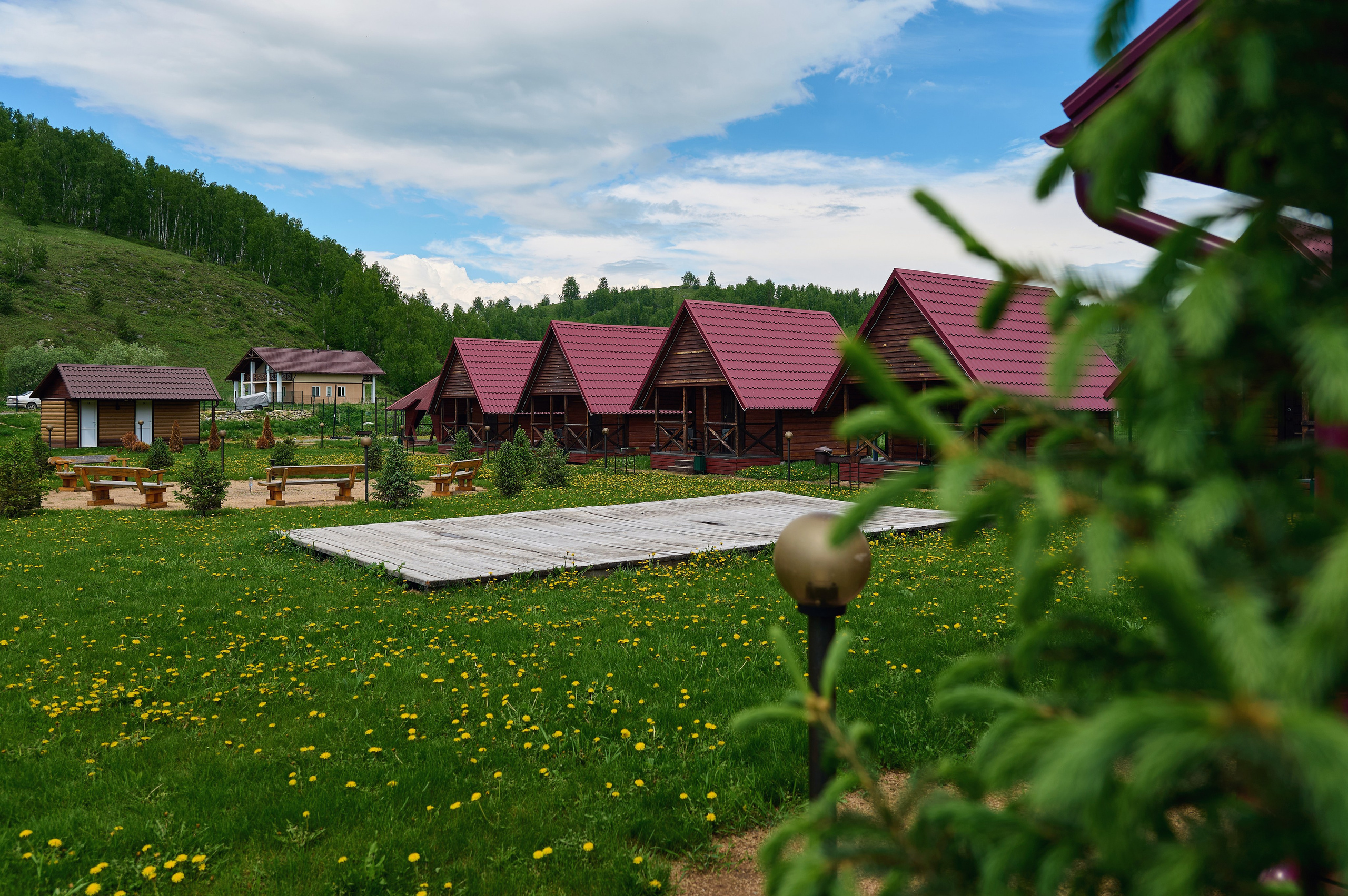 Кедровый берег. Фотограф Опыт Качество Скорость Горный Алтай Барнаул