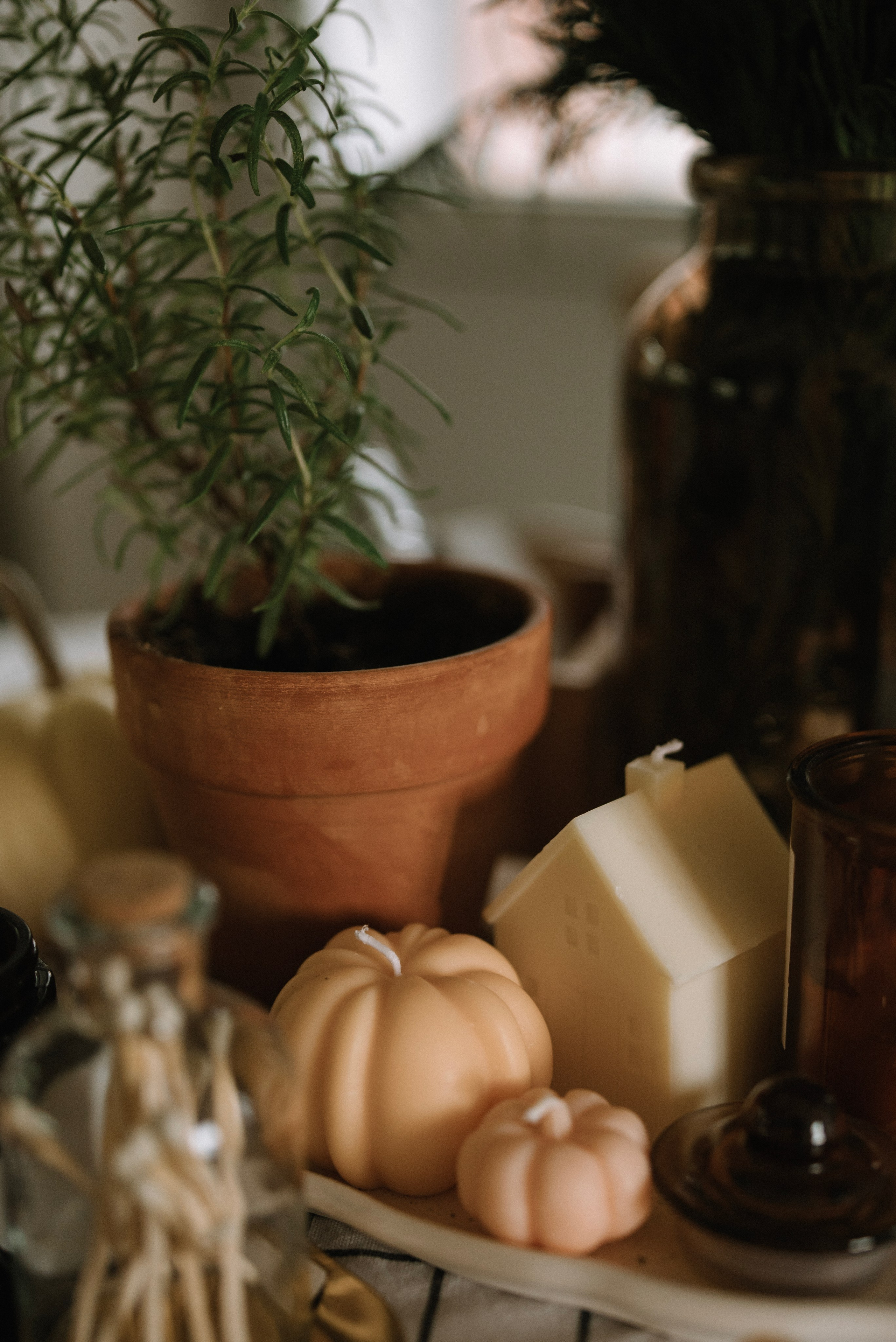 В гостях у Марка. Фотограф Костикова Анастасия Ростов-на-Дону