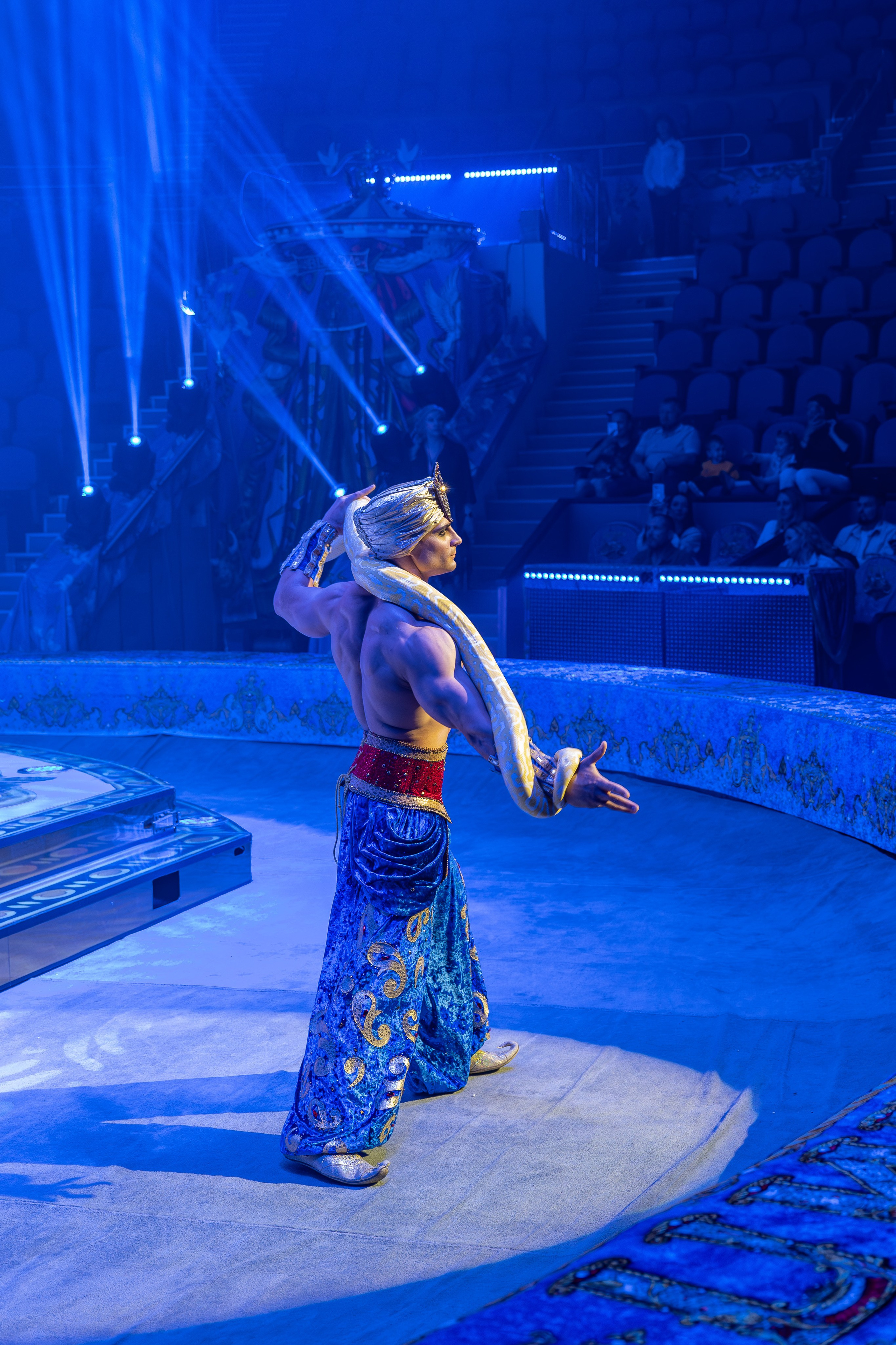 Цирк Гии Эрадзе. Наталья Слесаренко фотограф в Сочи