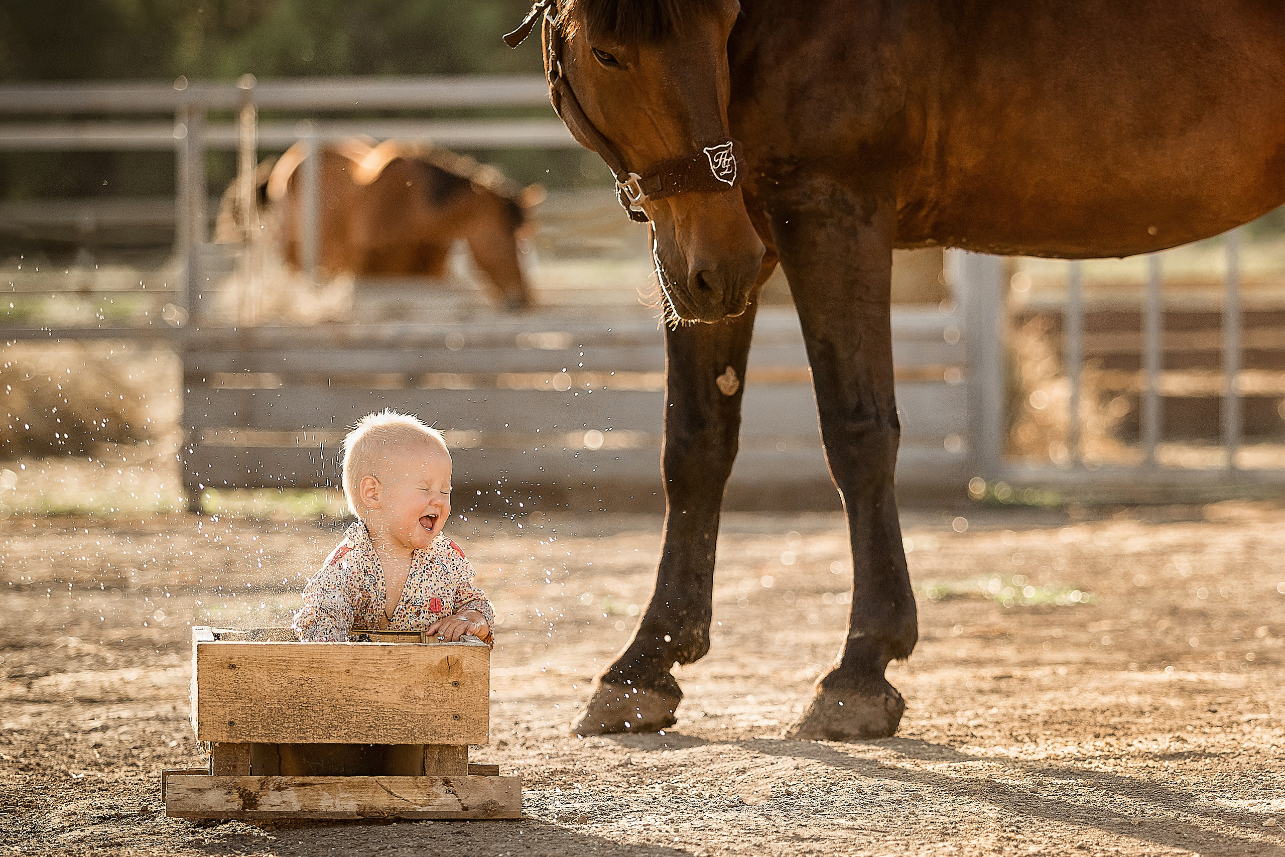 ПОРТФОЛИО. Профессиональный семейный и детский фотограф Наталья Мирошниченко