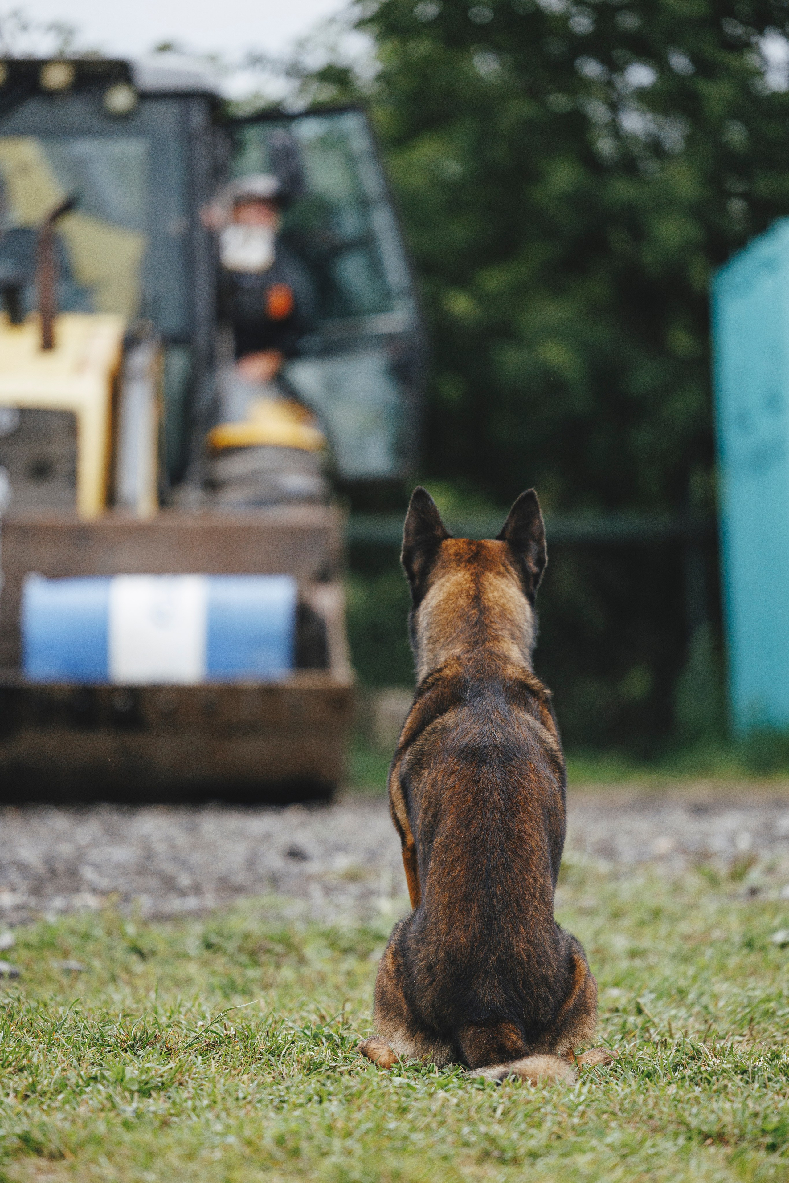 08.08.25-10.08.25 ЧР по мондьорингу г. Вологда. Фотограф-анималист Анна Маринич