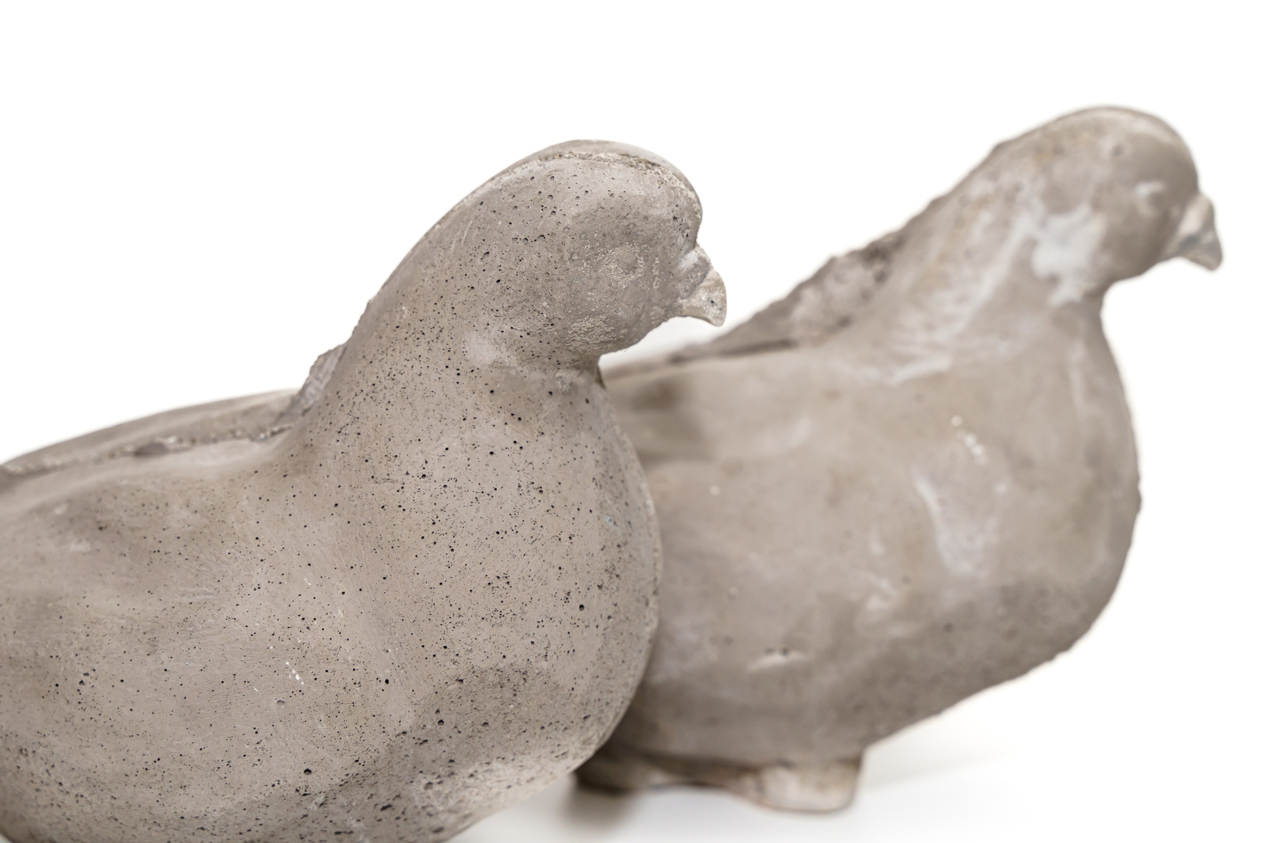 Искусство. Твой фотограф Алина Кочергина