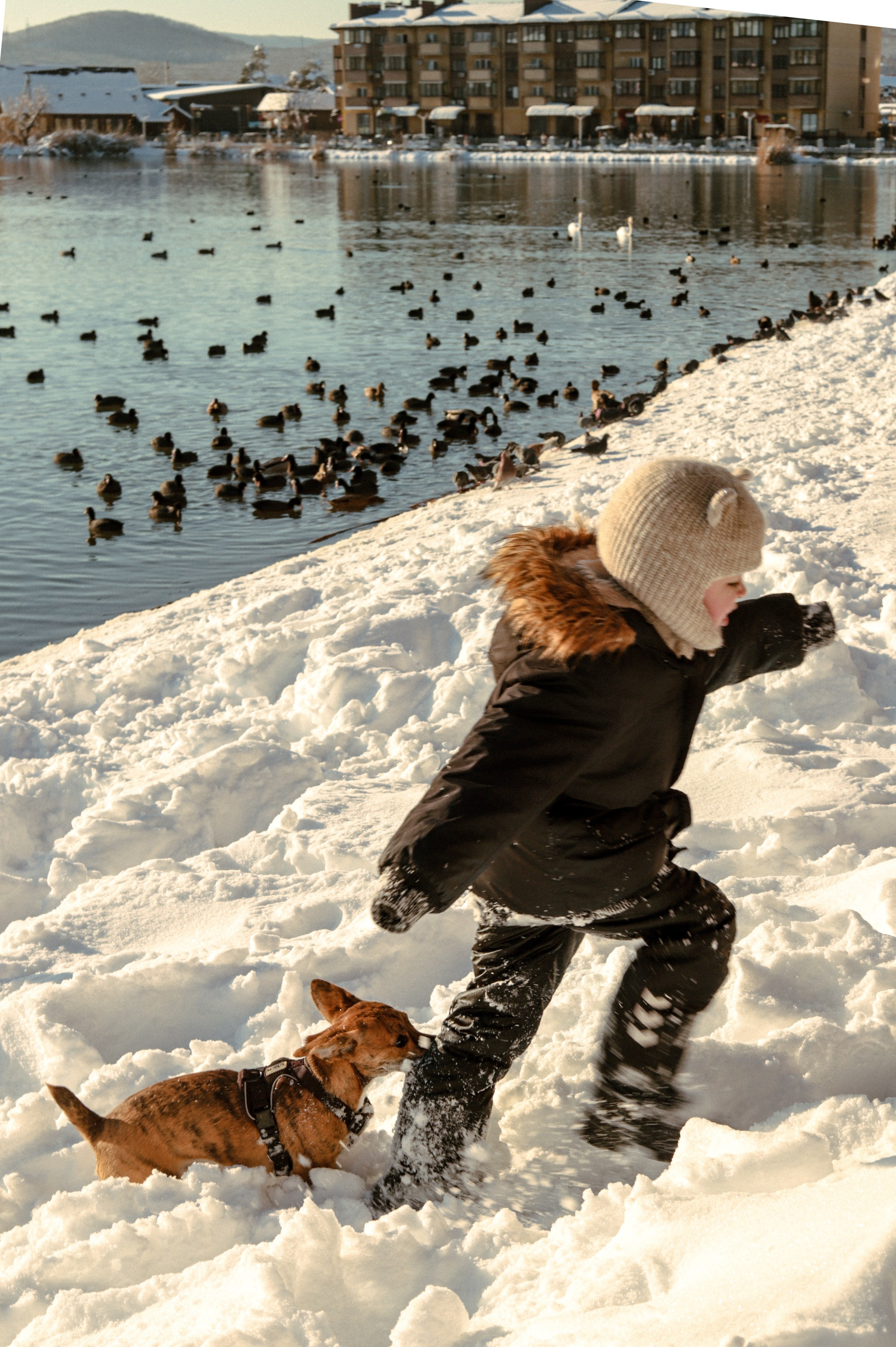 Семейные и беременность. Главная
