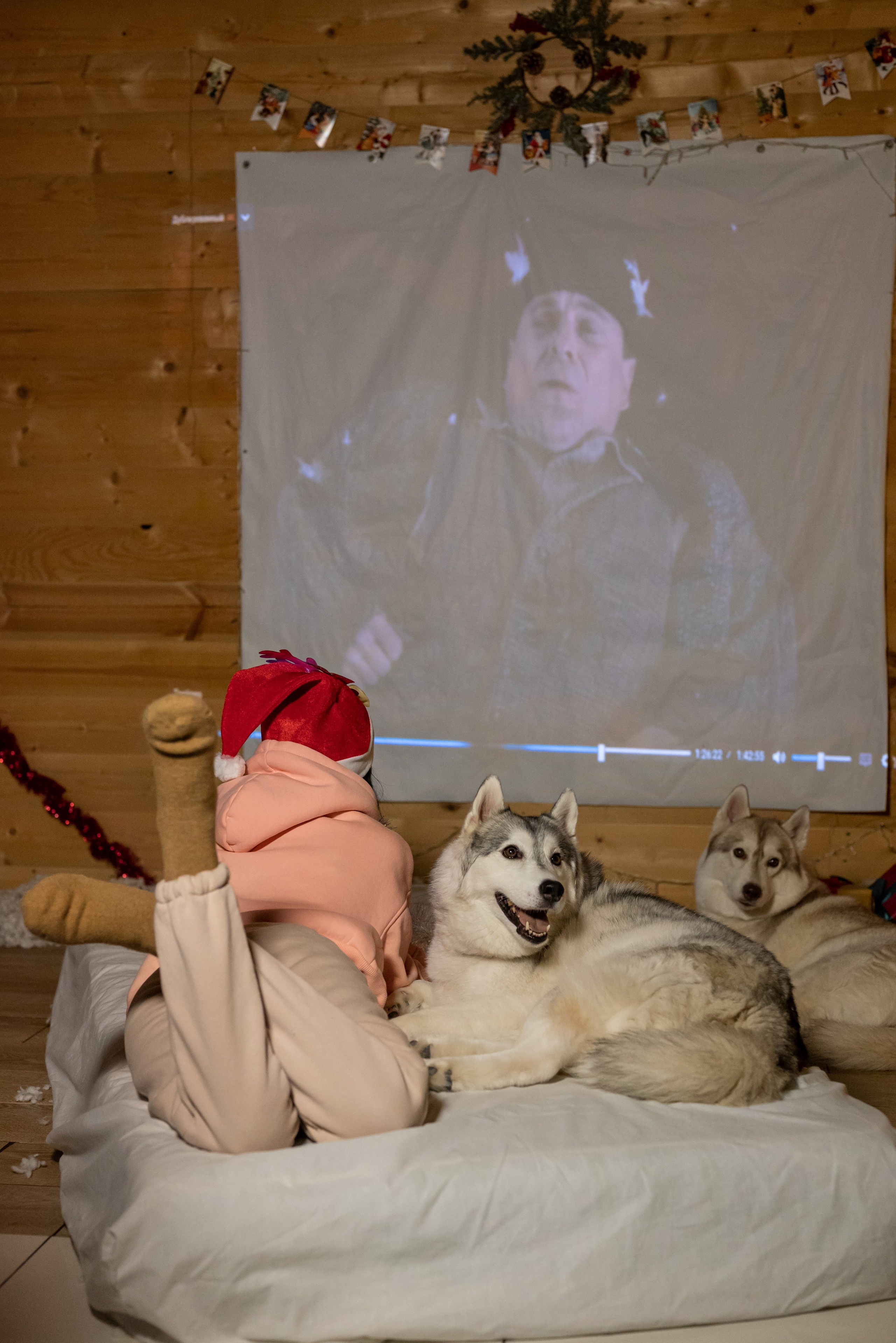 Фотопроект с хаски 2025 г. Фотограф в городе Салават