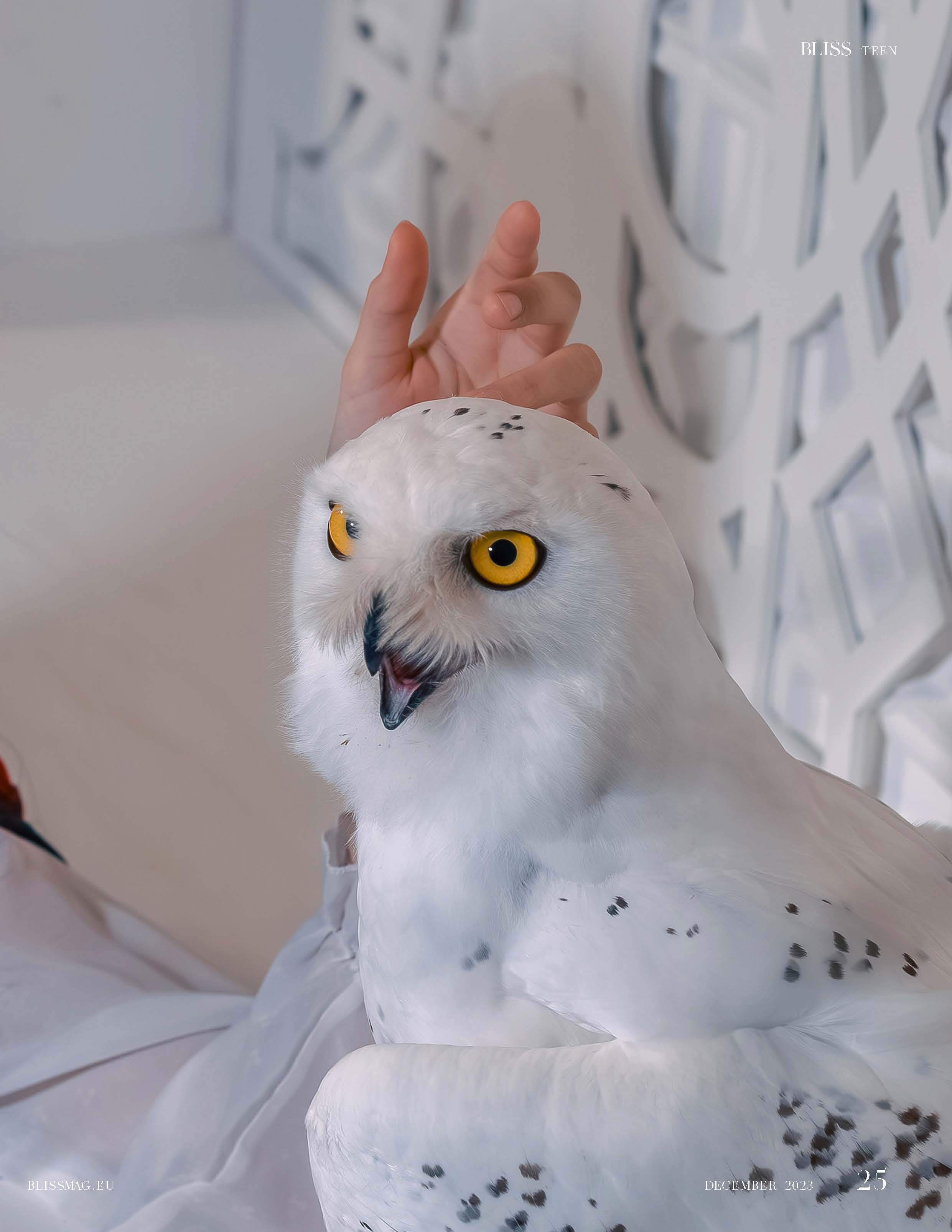 Журнал BLISS (Рим, Италия). Семейный и свадебный фотограф в Москве и Домодедово Анна Авилочкина