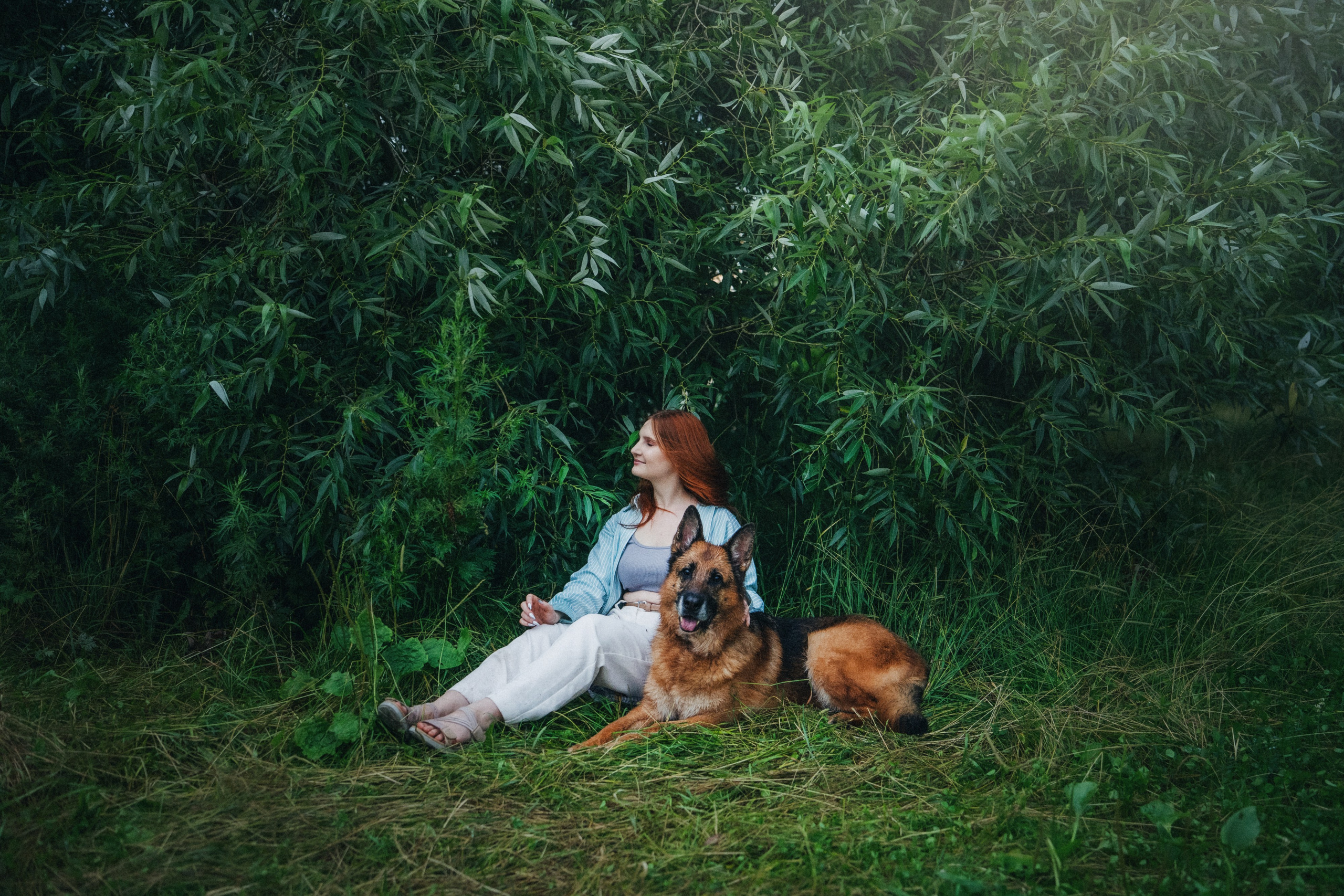 Вика и Фрея. Фотограф анималист в Москве и Санкт-Петербурге Свиридова Анна