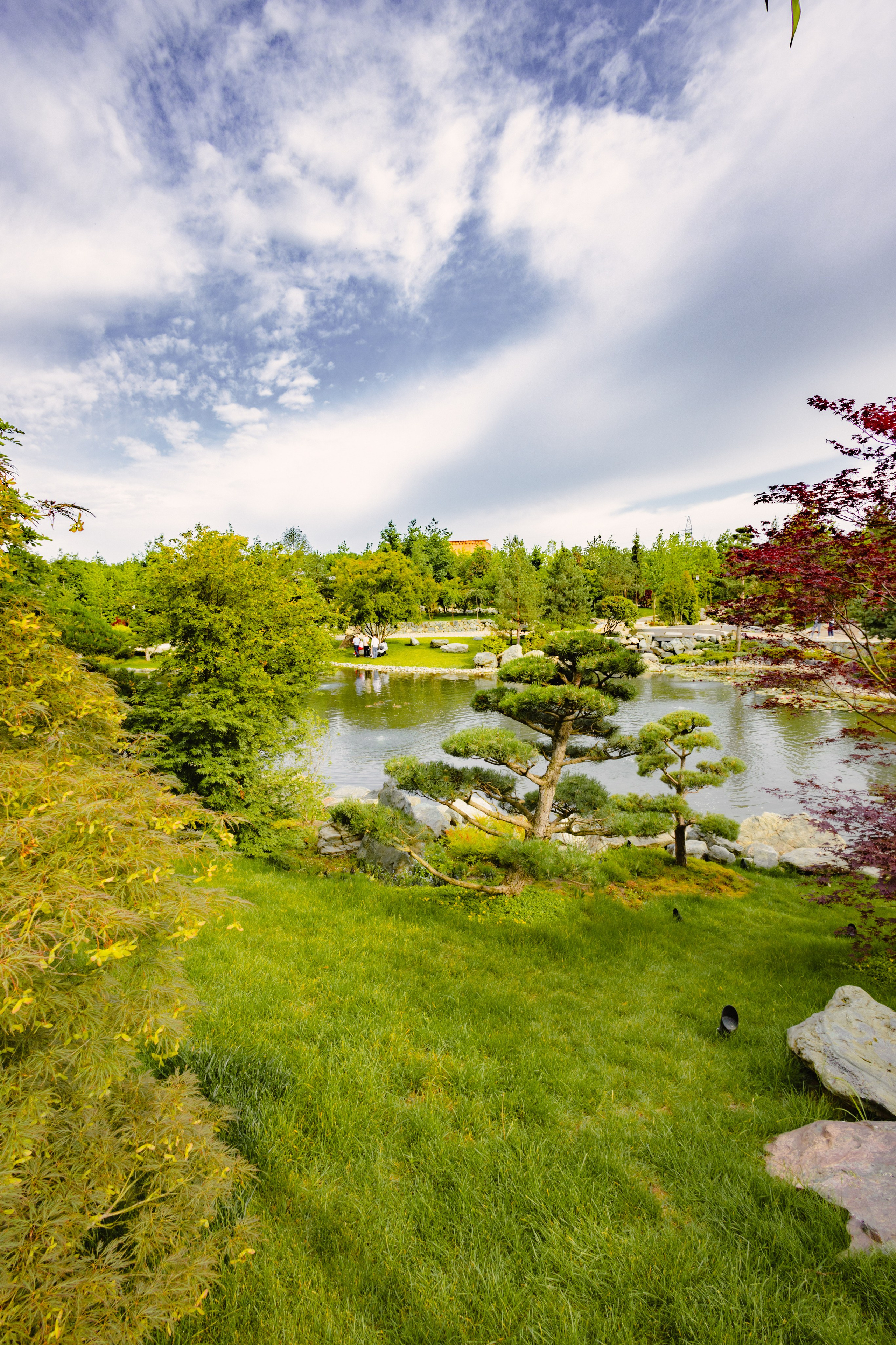Японский сад в Краснодаре. Профессиональный фотограф и видеооператор