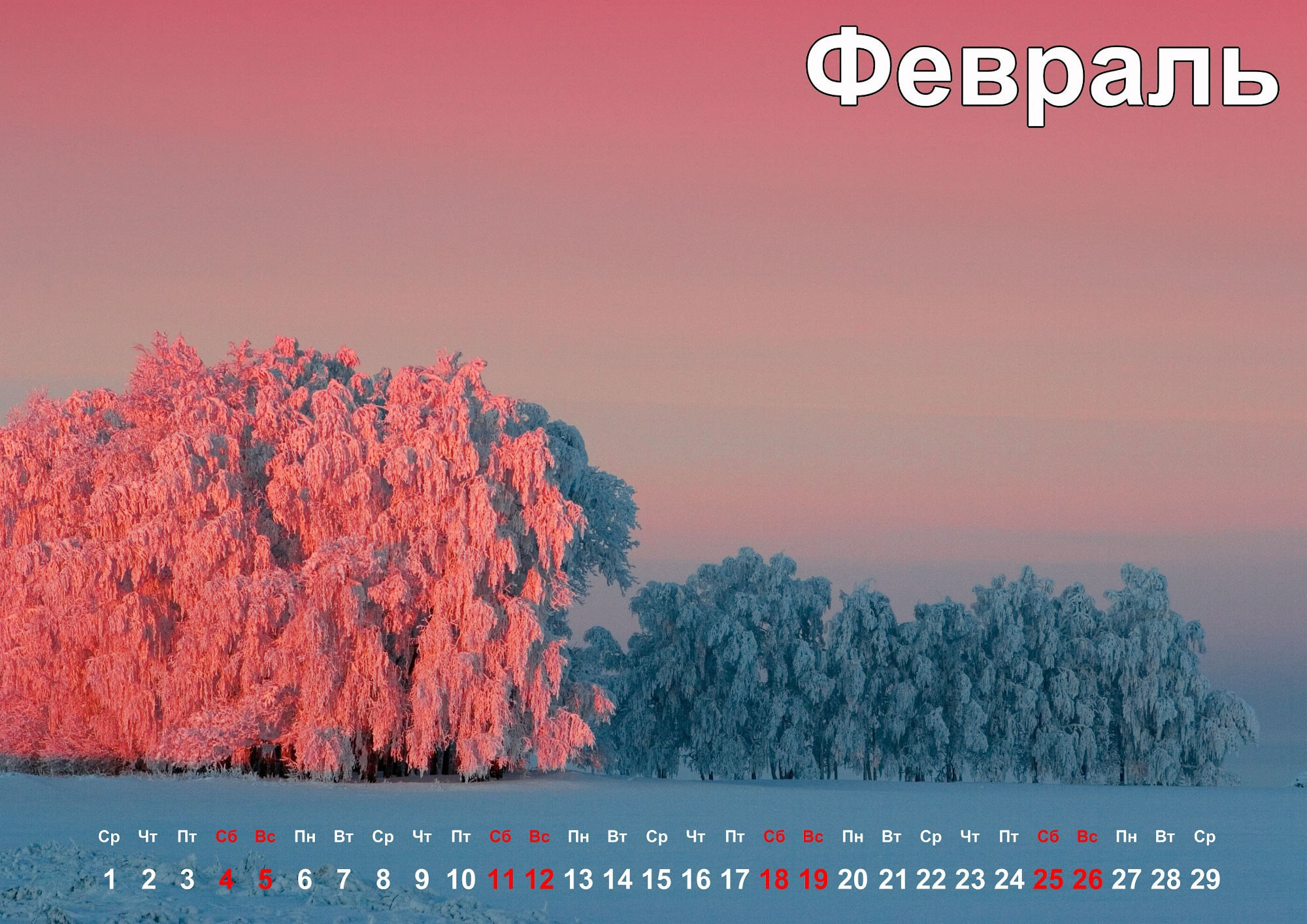 Свадебный фотограф в Геленджике